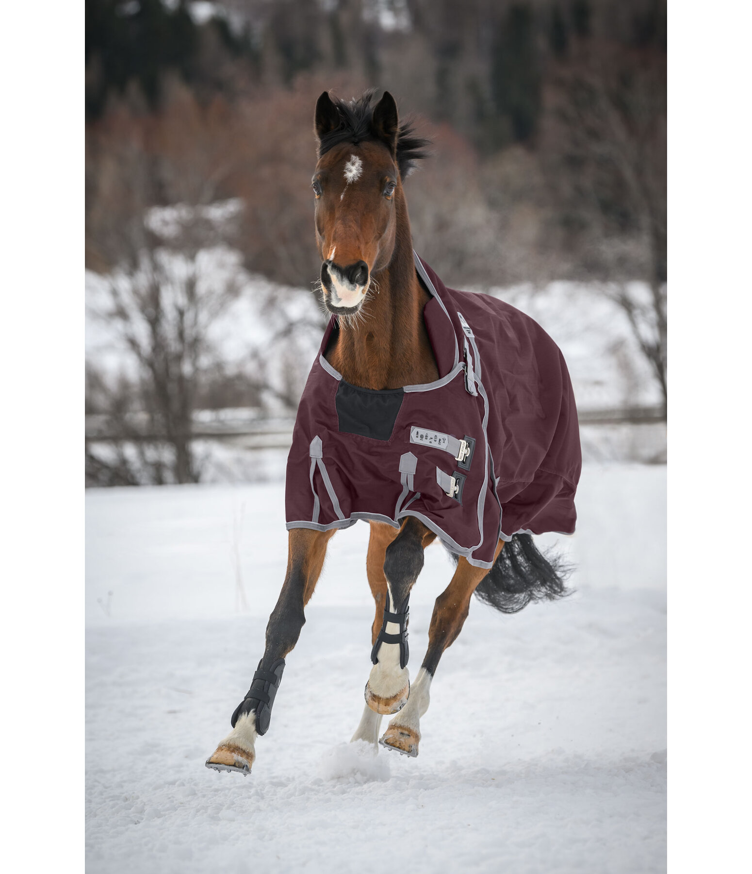 High Neck Turnout Rug Side Closure II