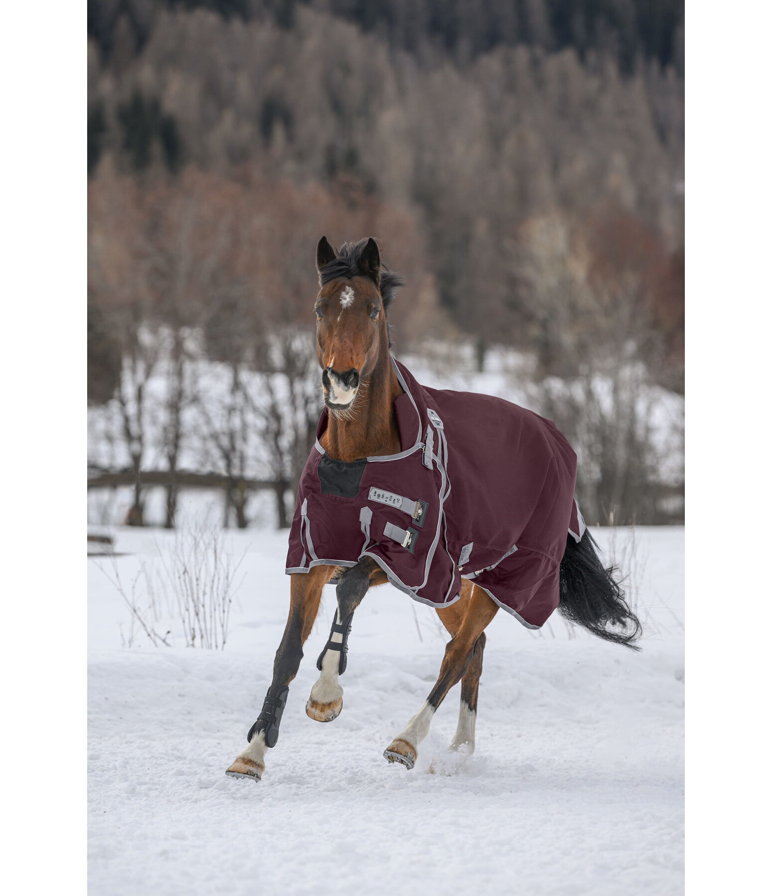 High Neck Turnout Rug Side Closure II