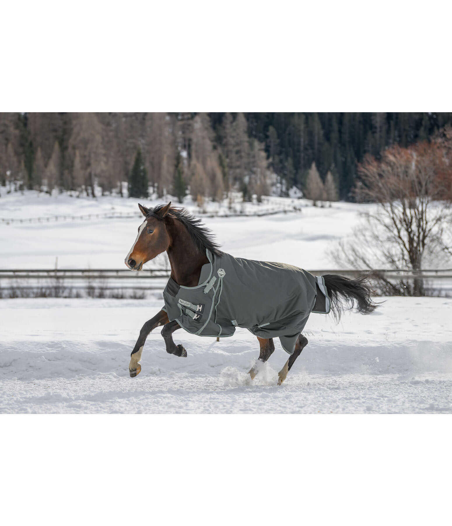 High Neck Turnout Rug Side Closure II, 150g