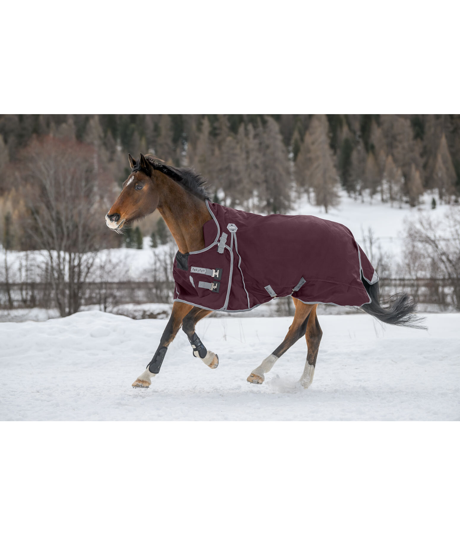 High Neck Turnout Rug Side Closure II, 150g