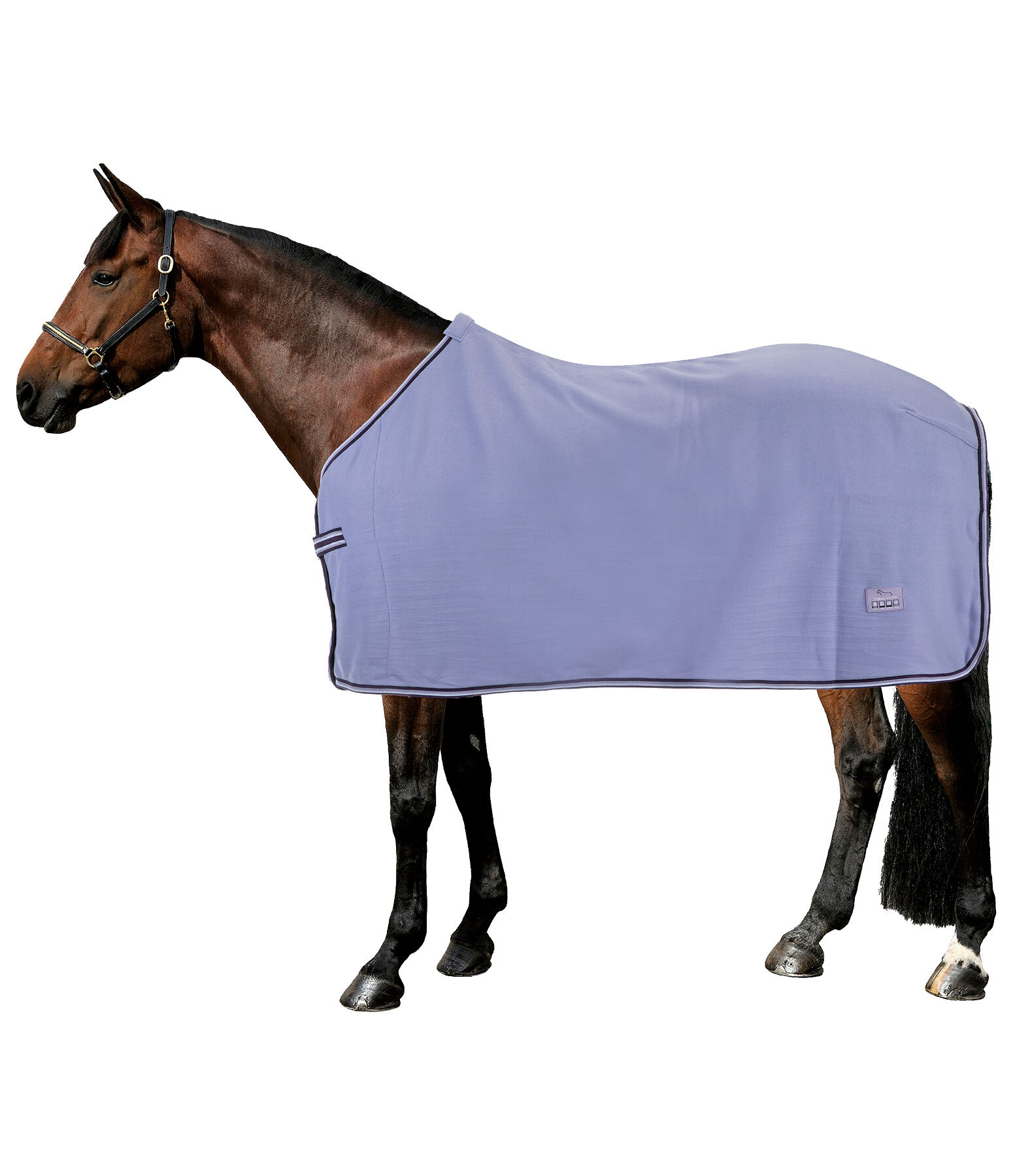 Fleece Rug Economic