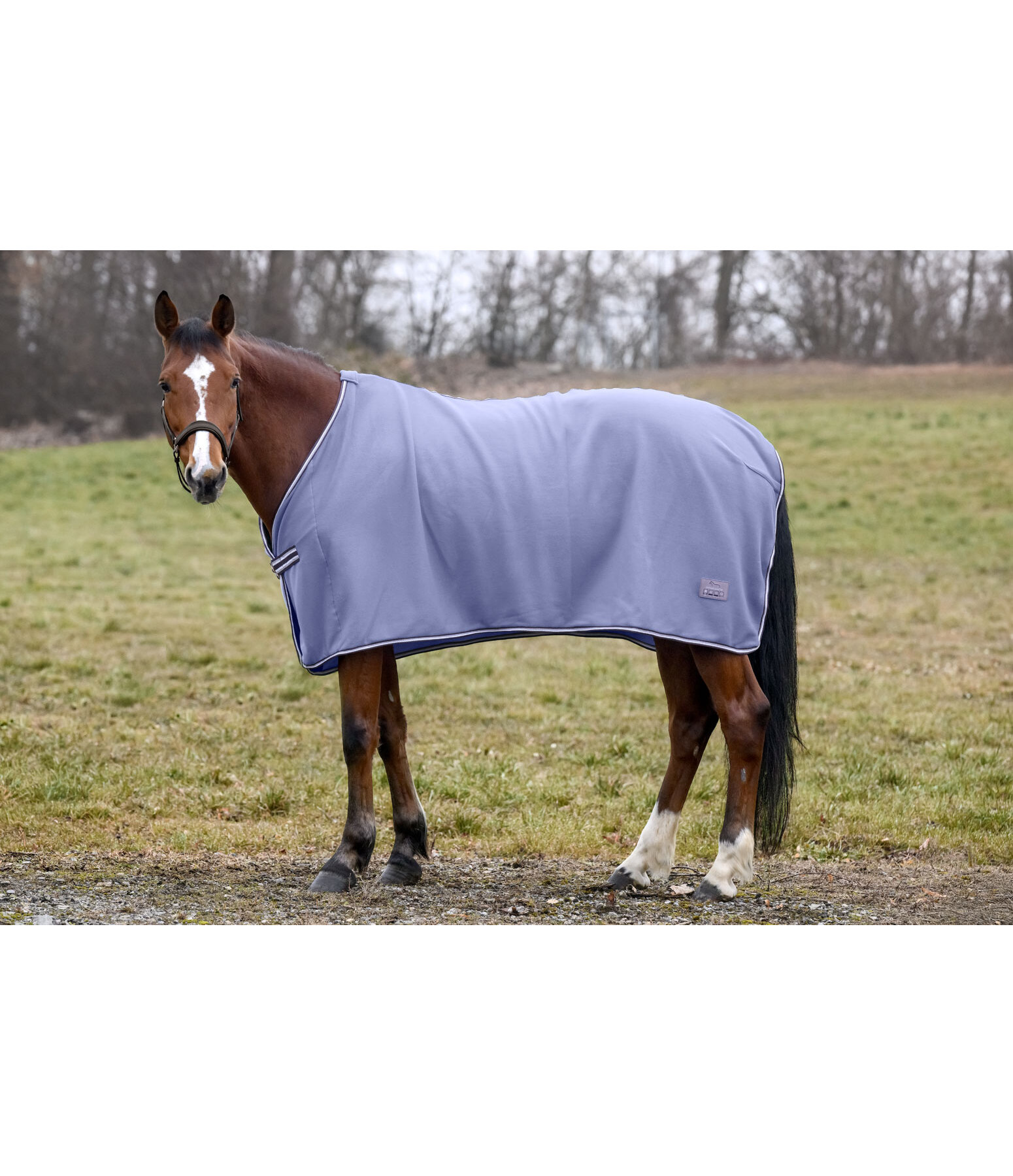 Fleece Rug Economic