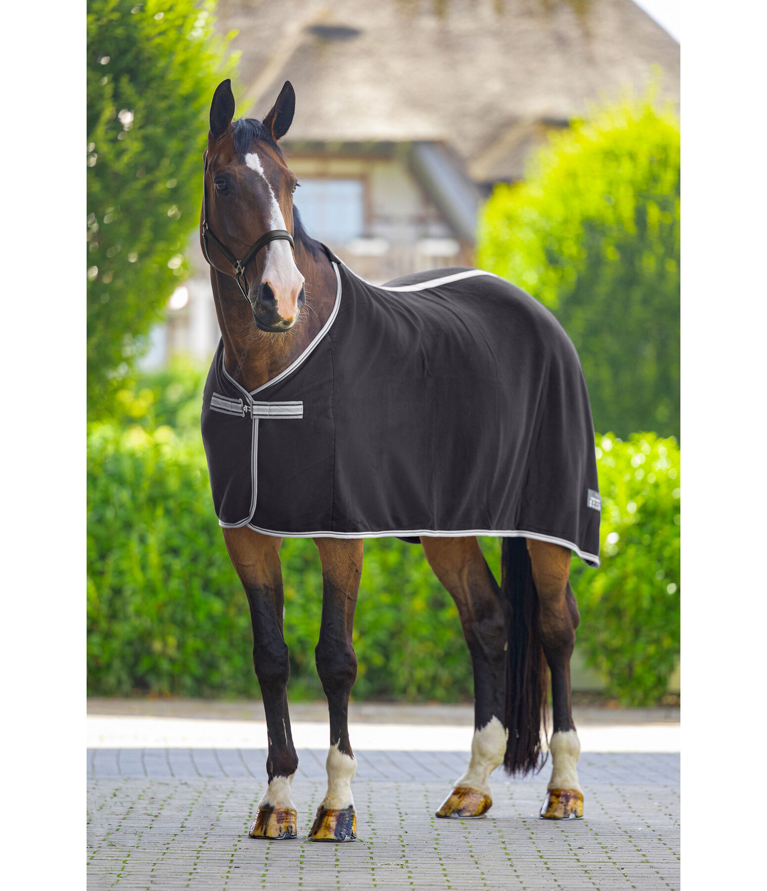 Fleece Rug Economic