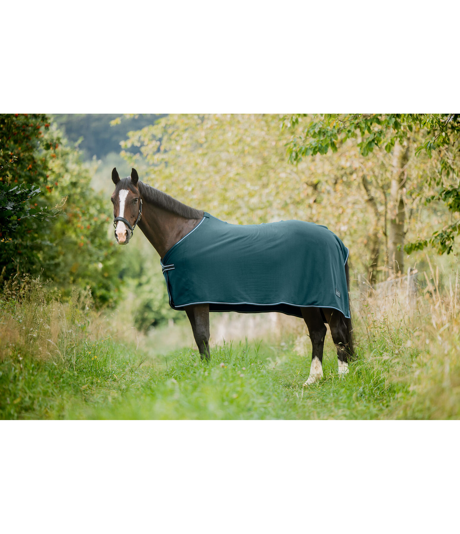 Fleece Rug Economic