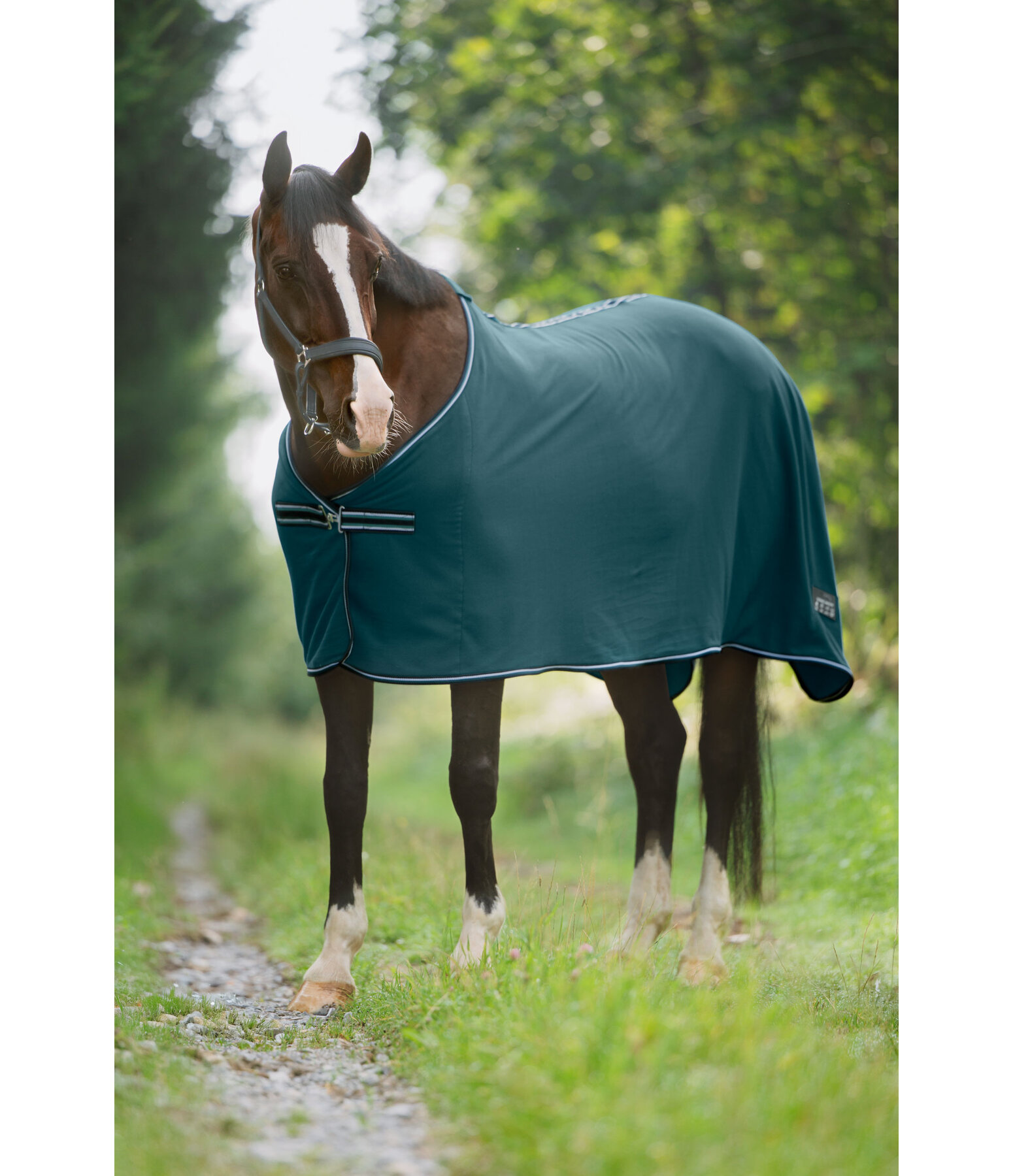 Fleece Rug Economic