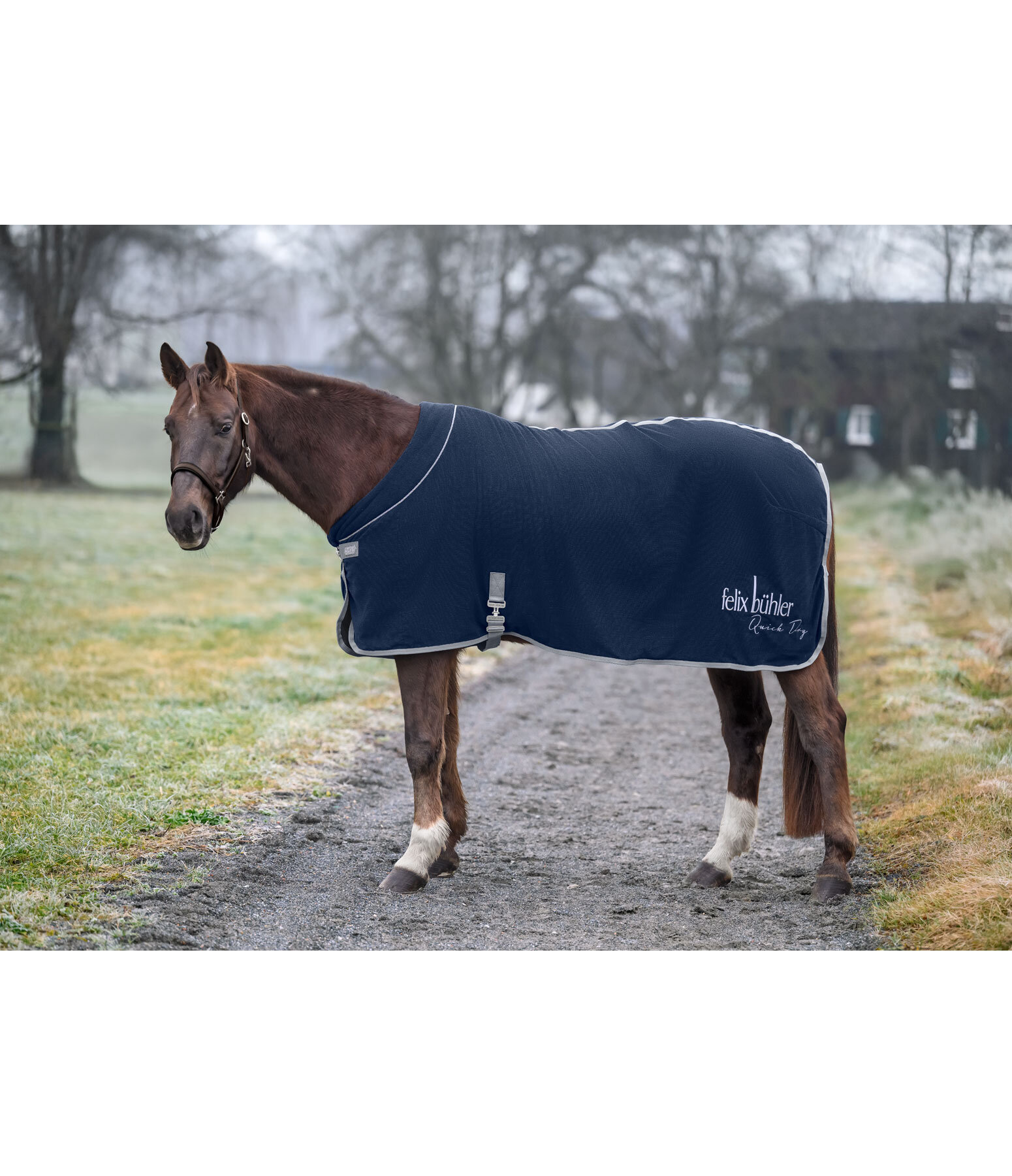 Functional Wicking Rug Quick Dry