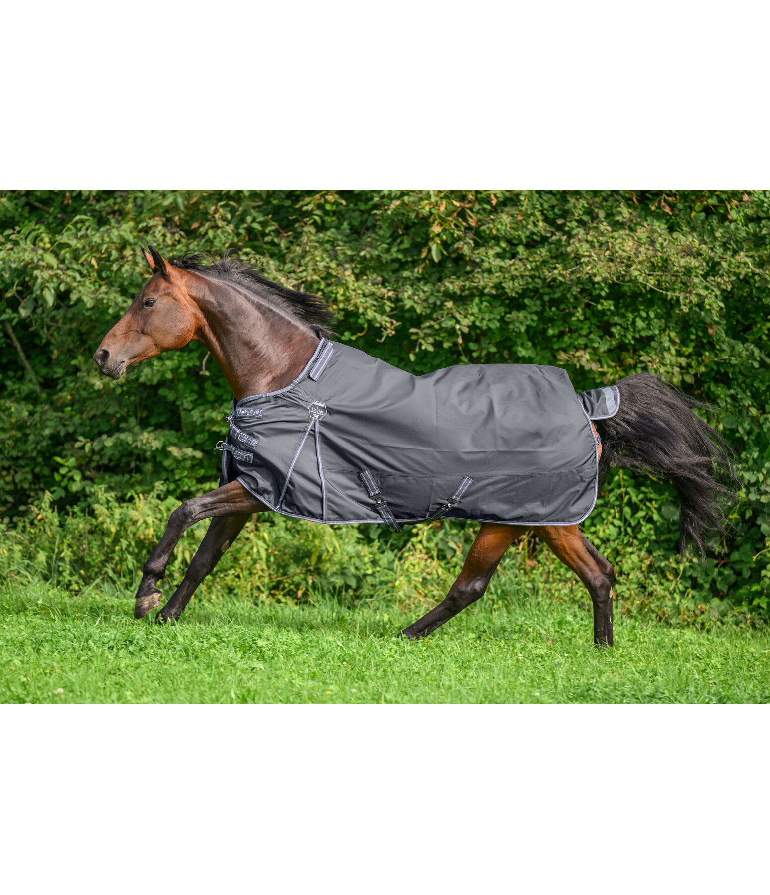 Regular Neck Turnout Rug Perfect Fit Nylon PRO, 0g