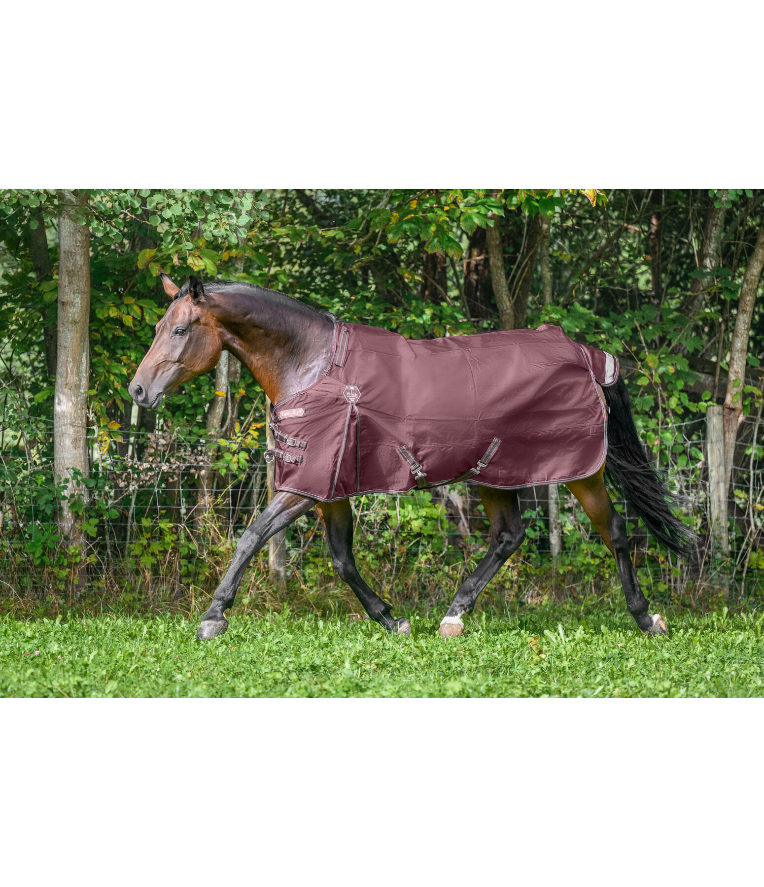 Regular Neck Turnout Rug Perfect Fit Nylon PRO, 0g