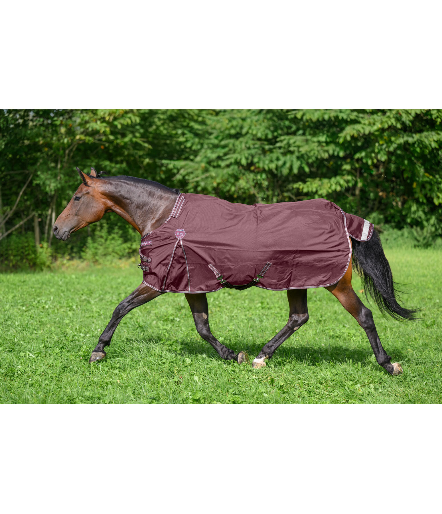 Regular Neck Turnout Rug Perfect Fit Nylon PRO, 0g