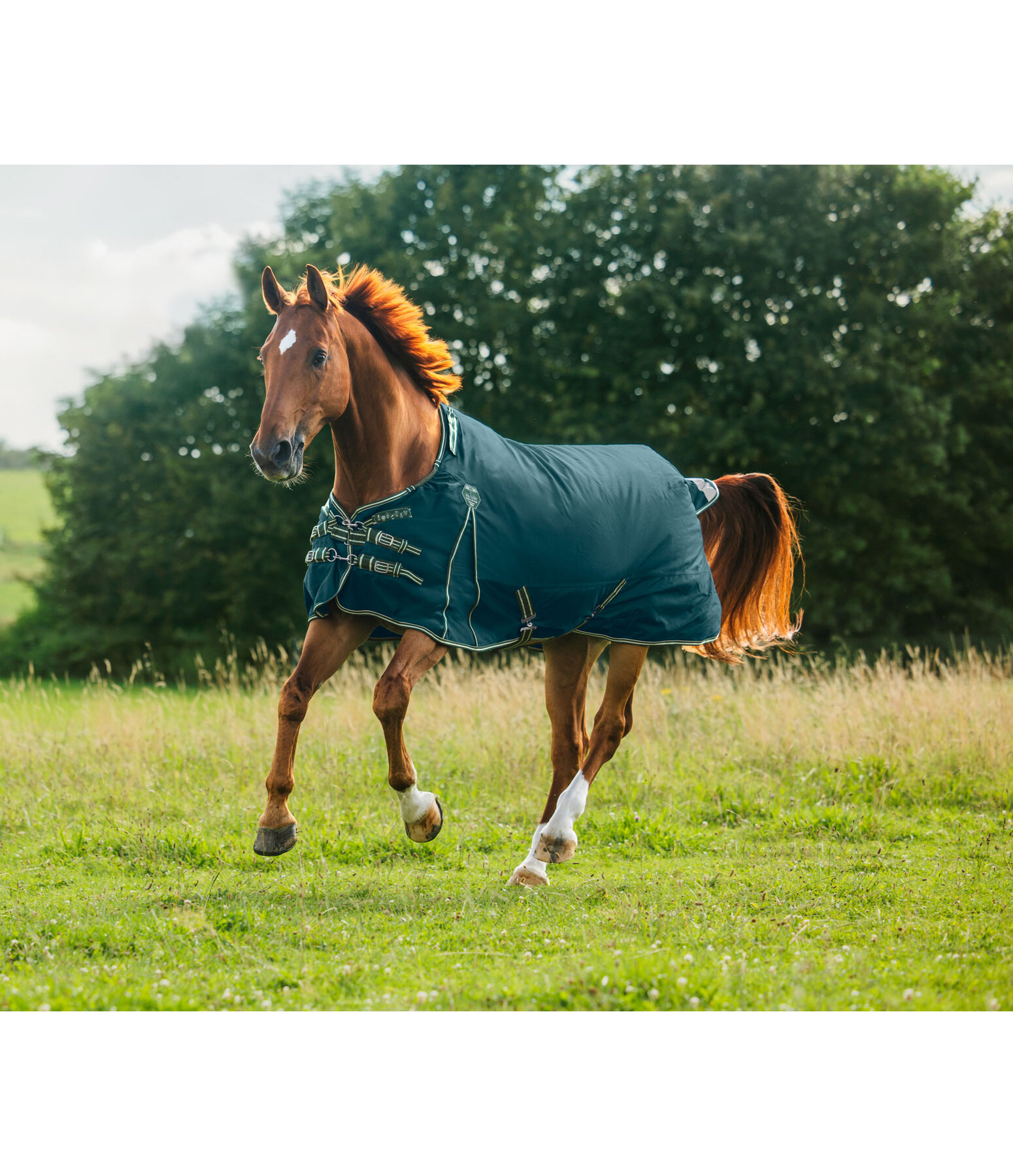 Regular Neck Turnout Rug Perfect Fit Nylon PRO, 100g