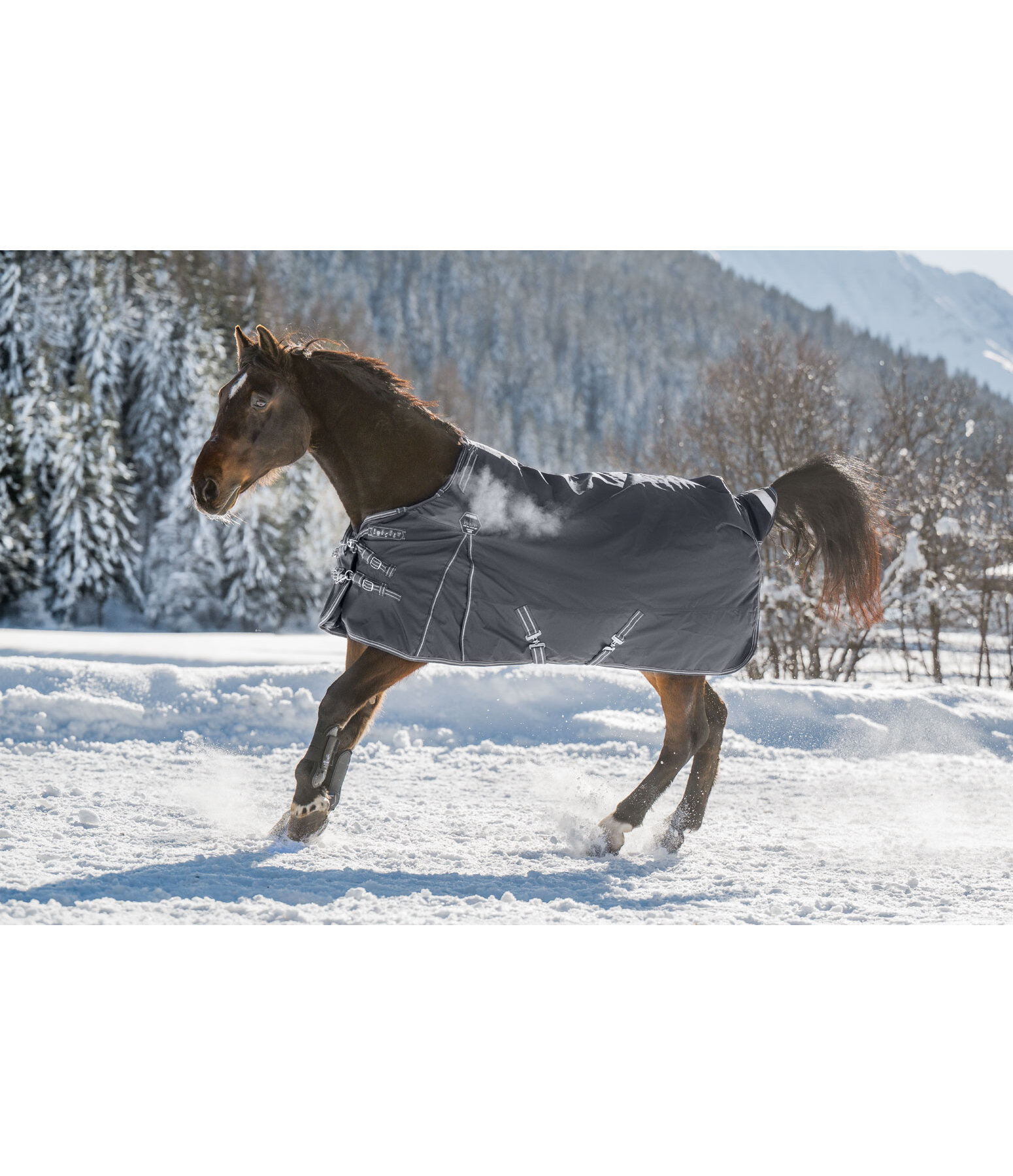 Regular Neck Turnout Rug Perfect Fit Nylon PRO, 200g