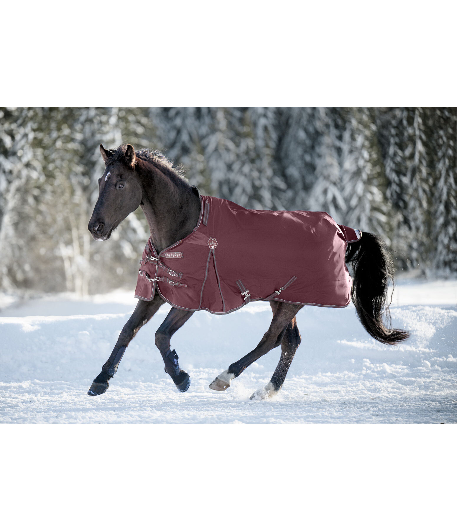 Regular Neck Turnout Rug Perfect Fit Nylon PRO, 200g