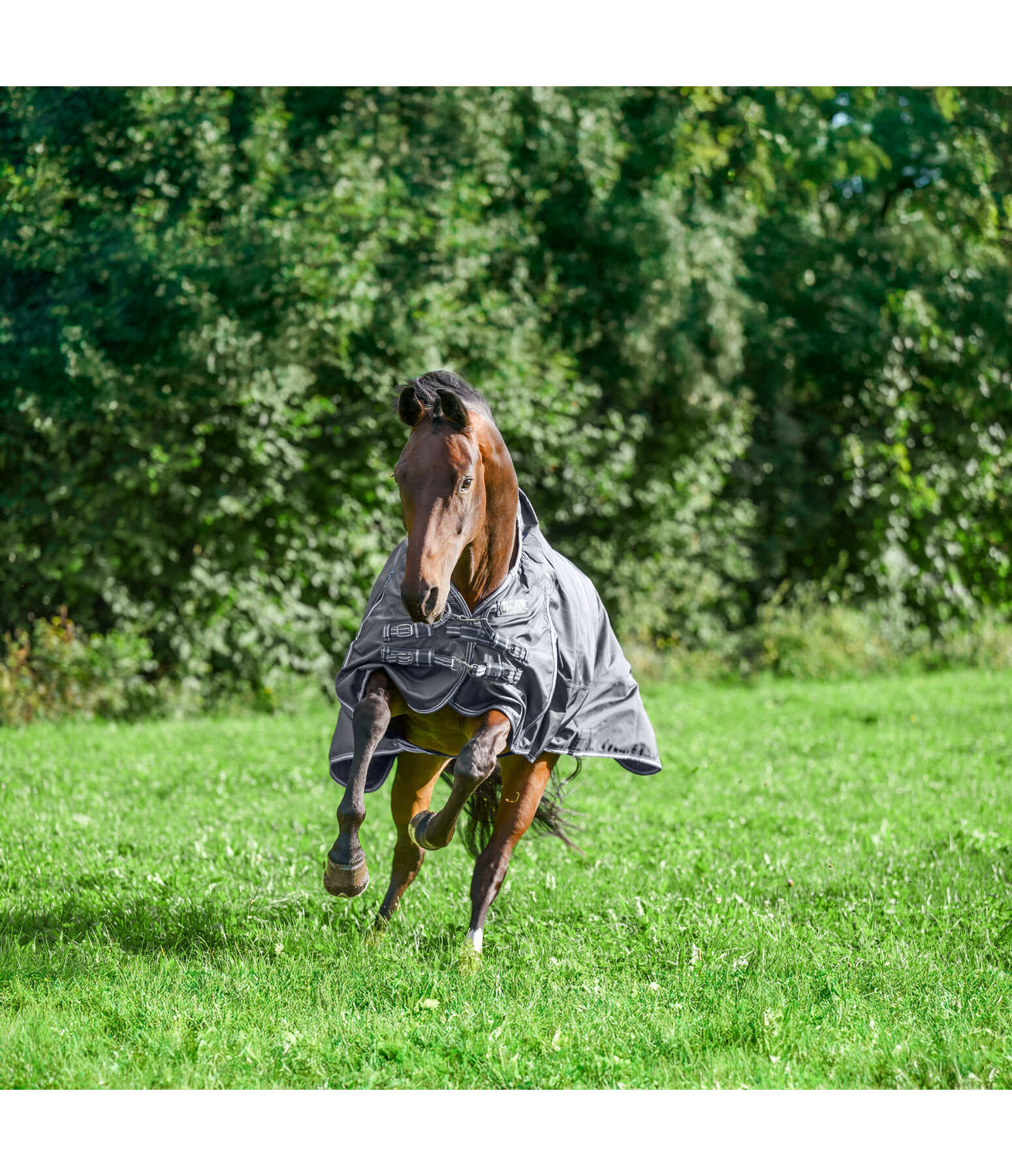 High Neck Turnout Rug Perfect Fit Nylon PRO, 0g