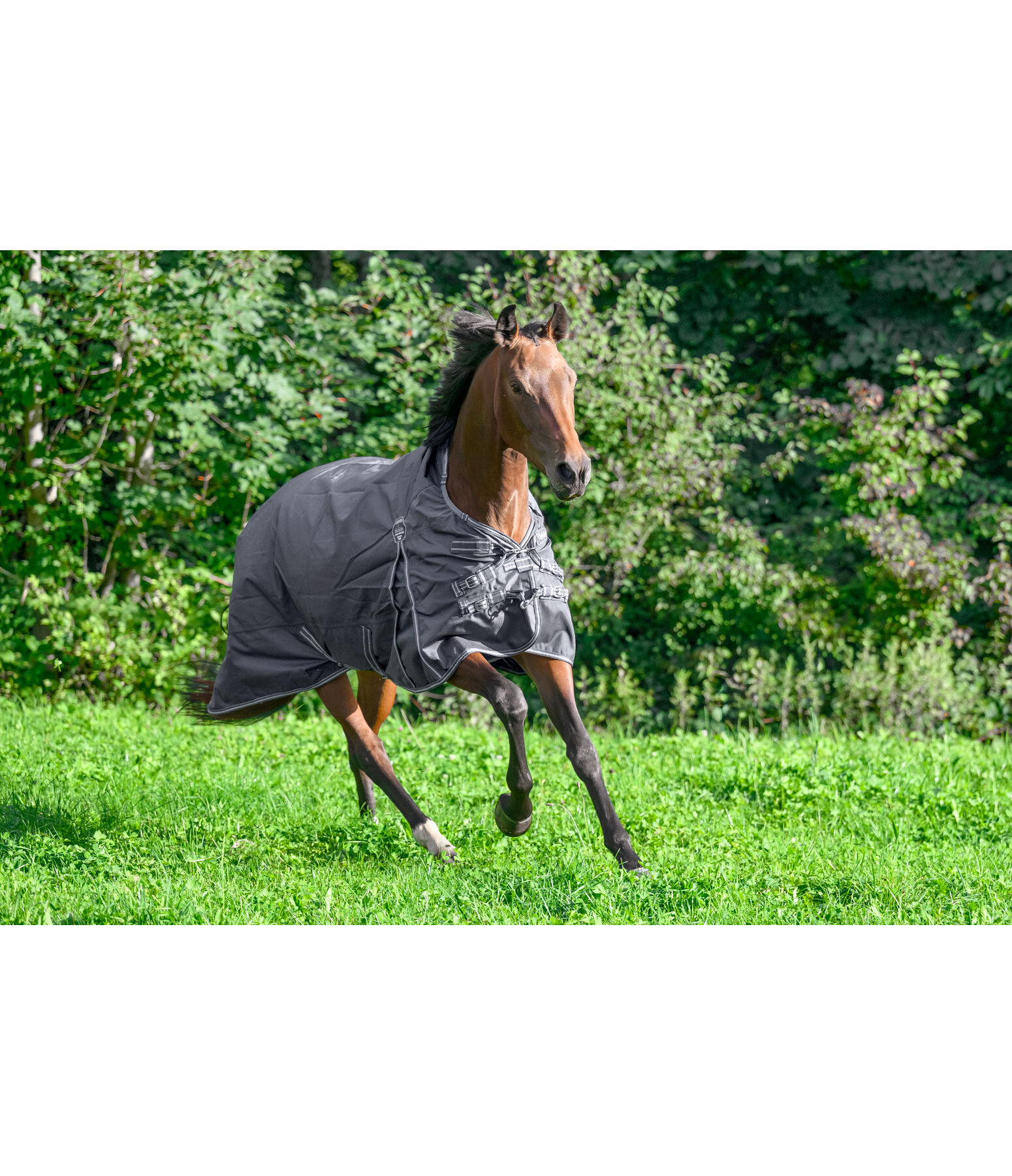 High Neck Turnout Rug Perfect Fit Nylon PRO, 0g