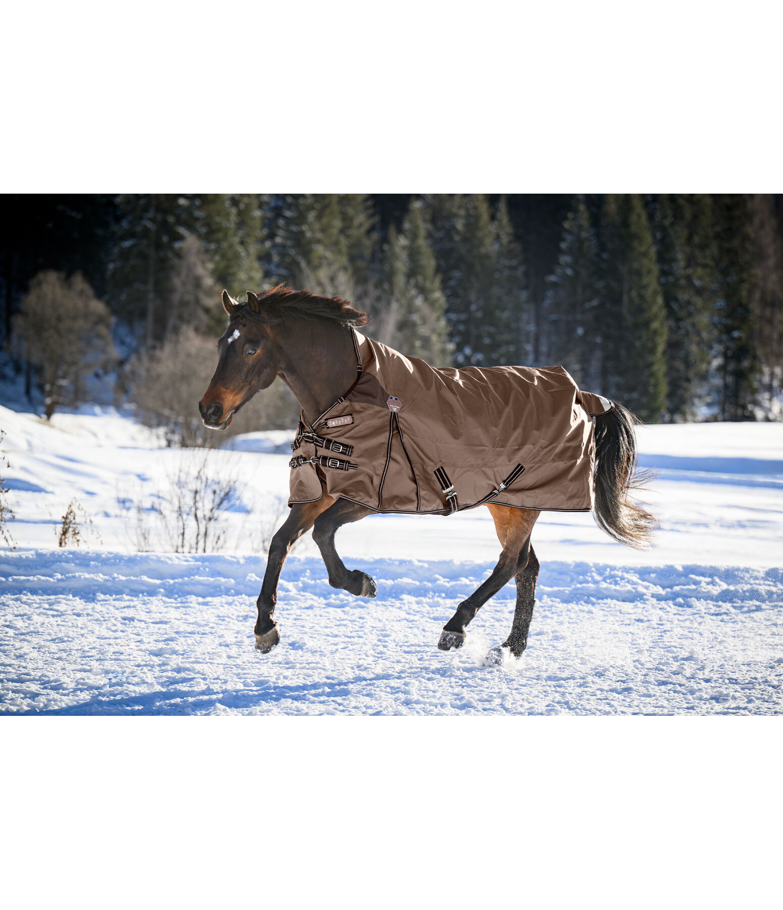 High Neck Turnout Rug Perfect Fit Nylon PRO, 50g