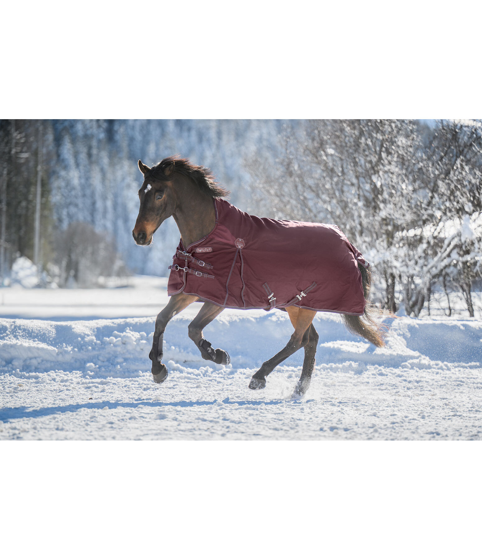 High Neck Turnout Rug Perfect Fit Nylon PRO, 200g