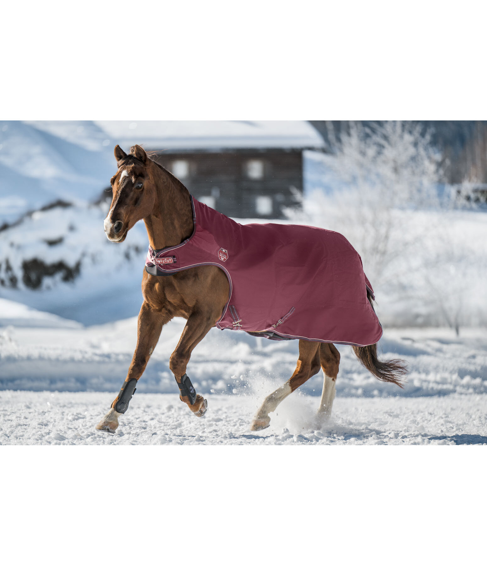 High Neck Outdoor Walker Perfect Fit Nylon PRO, 50g