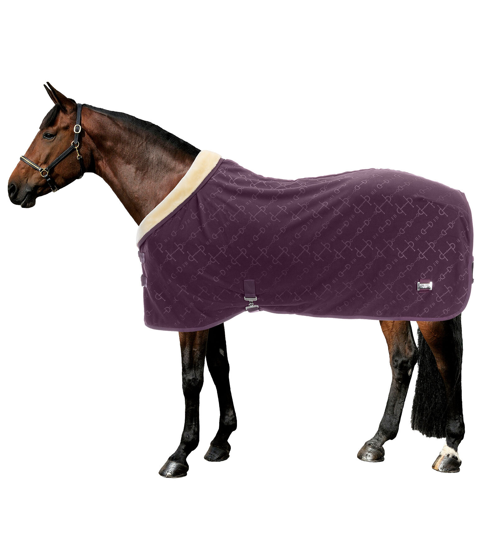 Collection Wicking Rug Signature II