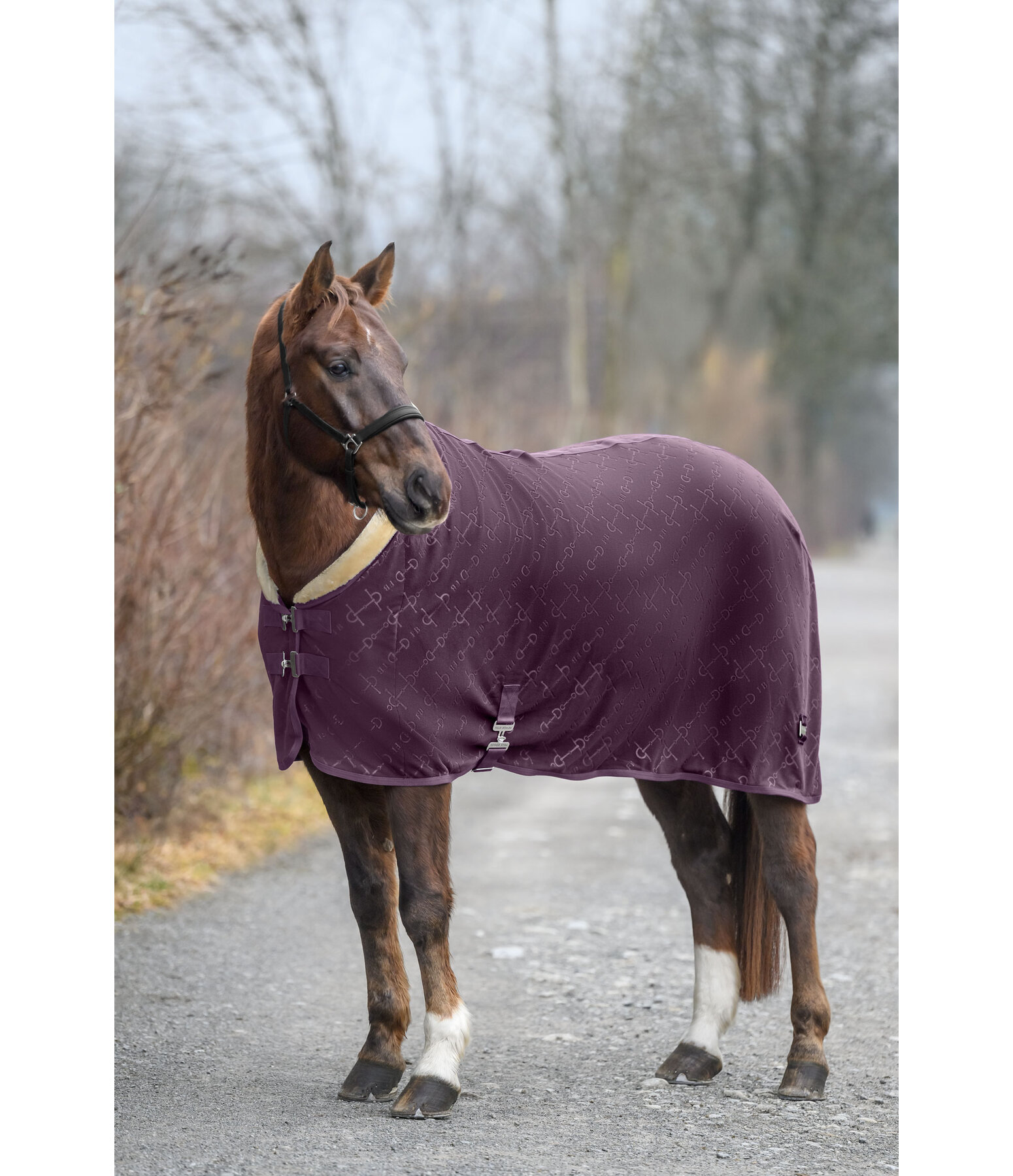 Collection Wicking Rug Signature II