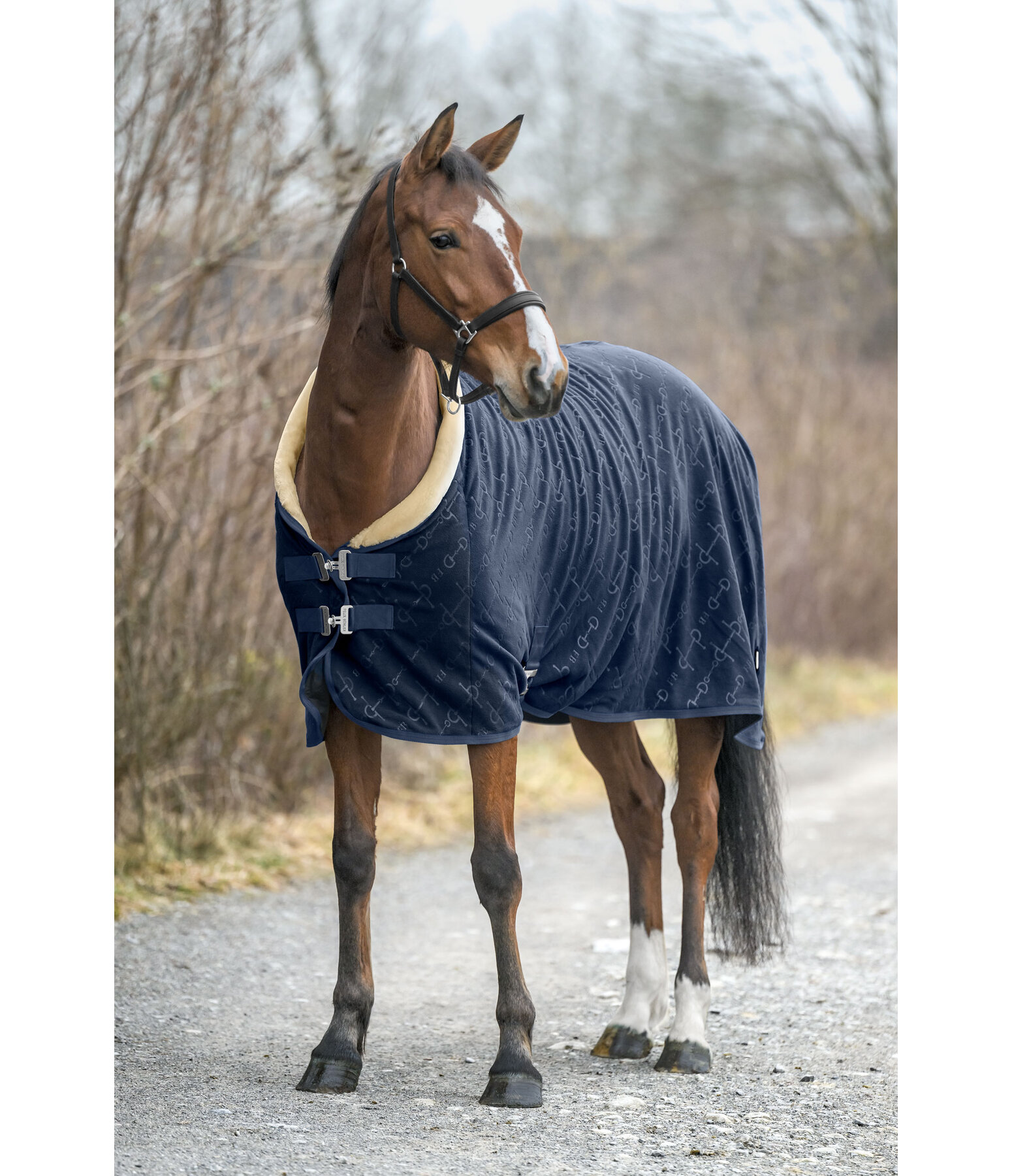 Collection Wicking Rug Signature II