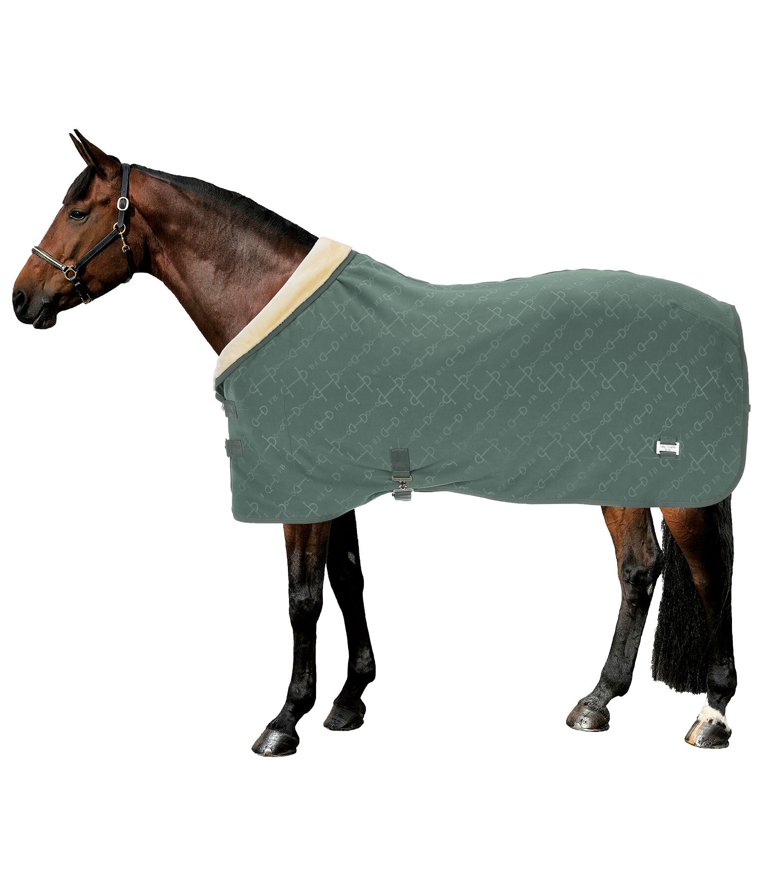 Collection Wicking Rug Signature II