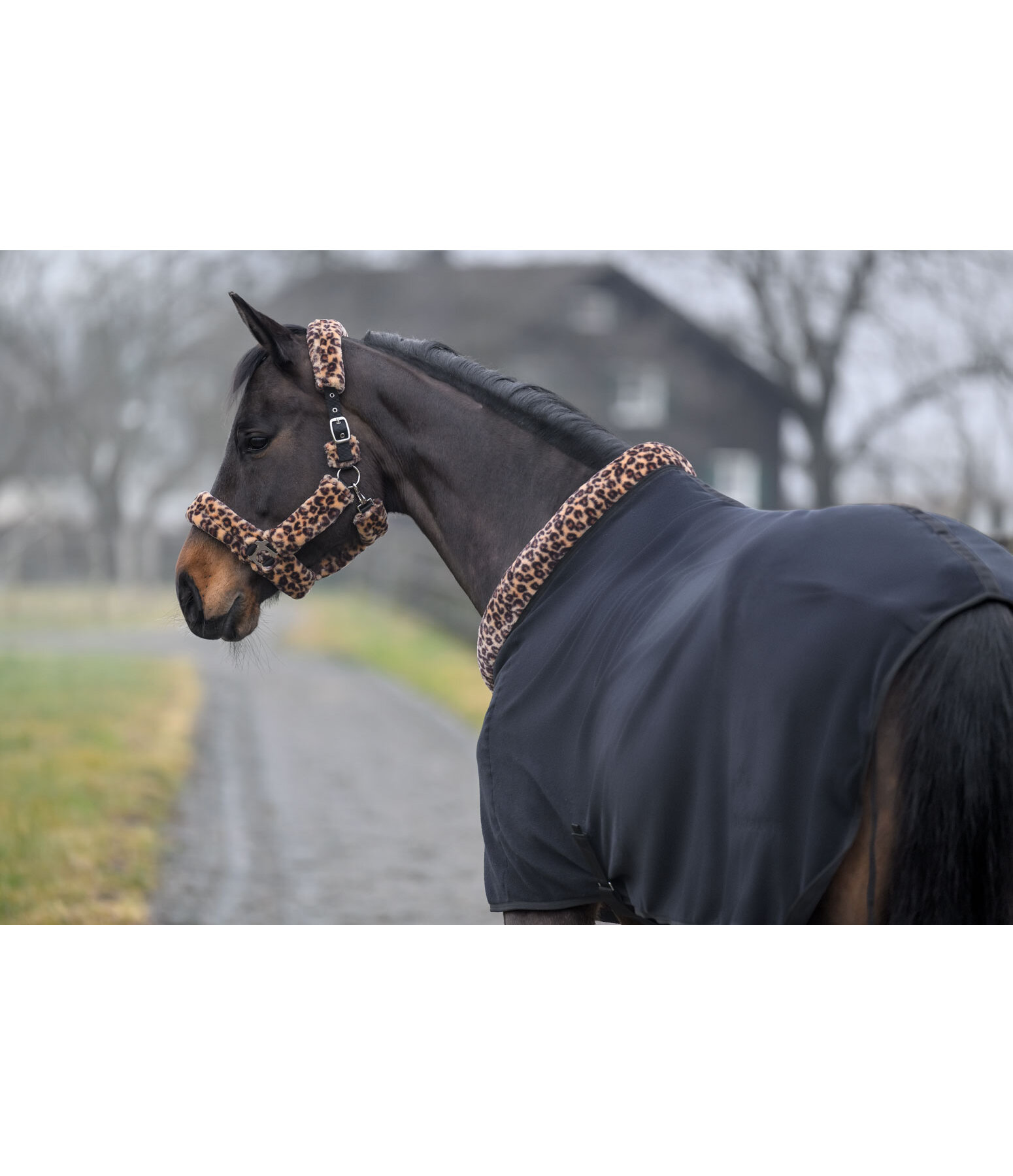 Fleece Rug with Teddy Fleece Collar Leo