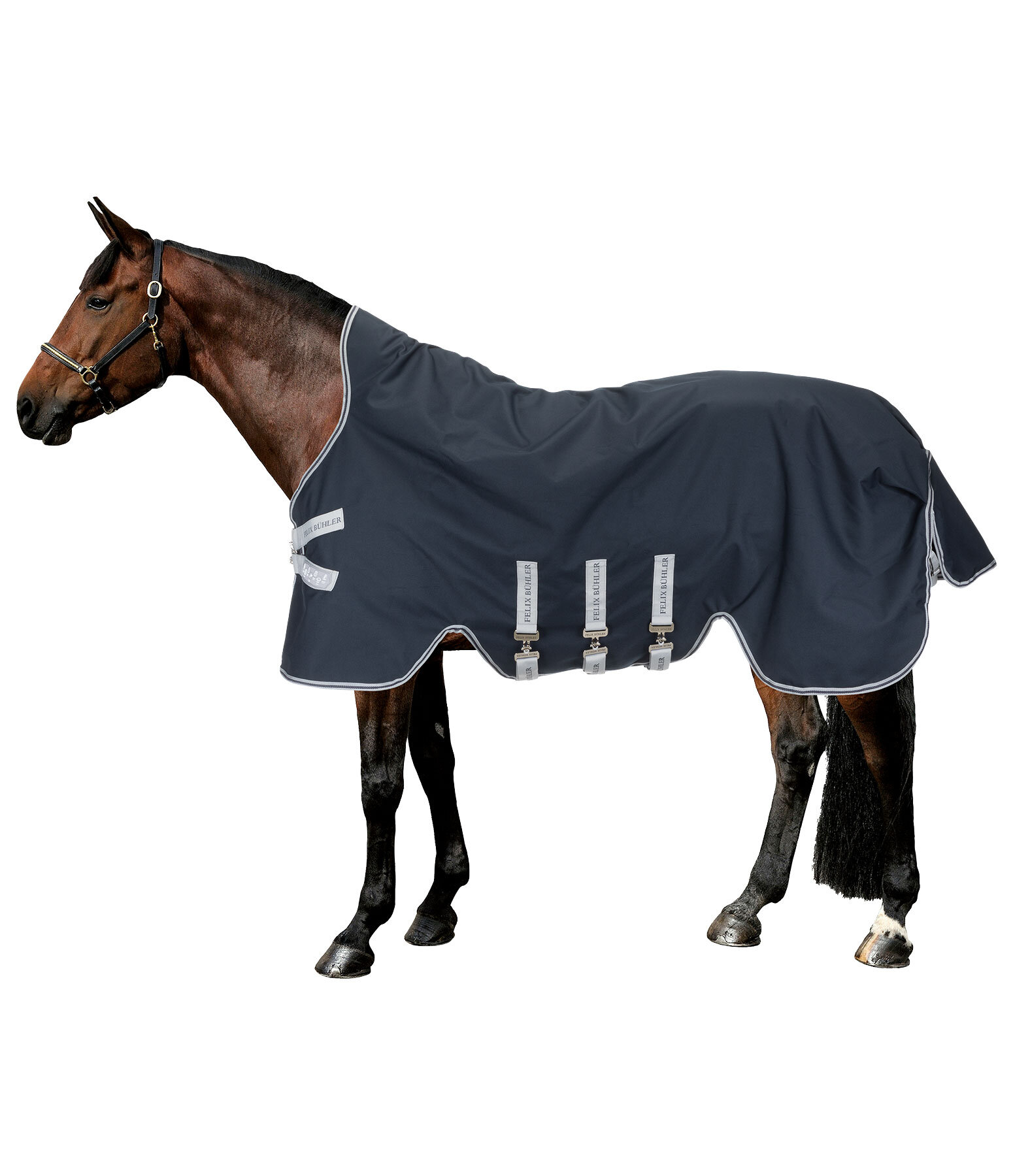 Turnout Rug with Layer System Fadeah Light, 0-100g