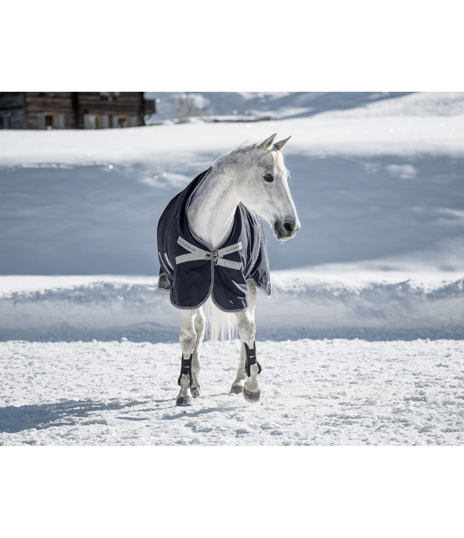 Turnout Rug with Layer System Fadeah Light, 0-100g