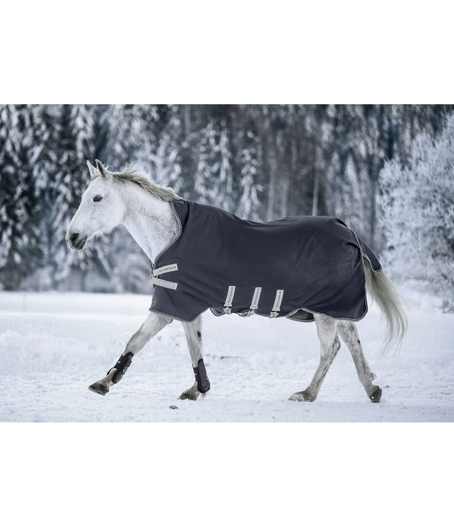 Turnout Rug with Layer System Fadeah Light, 0-100g