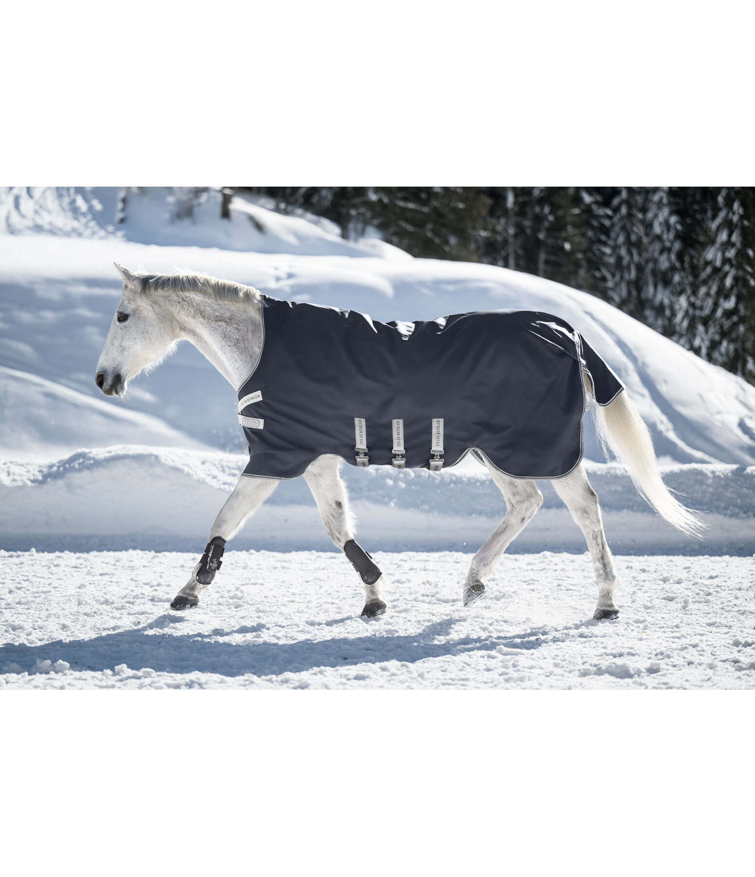Turnout Rug with Layer System Fadeah Heavy, 200-400g
