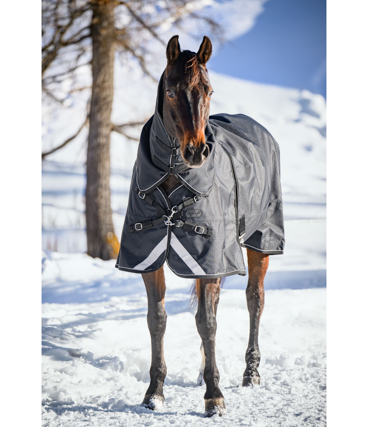 Regular Neck Turnout Rug Liberty II with Liner System, 0g
