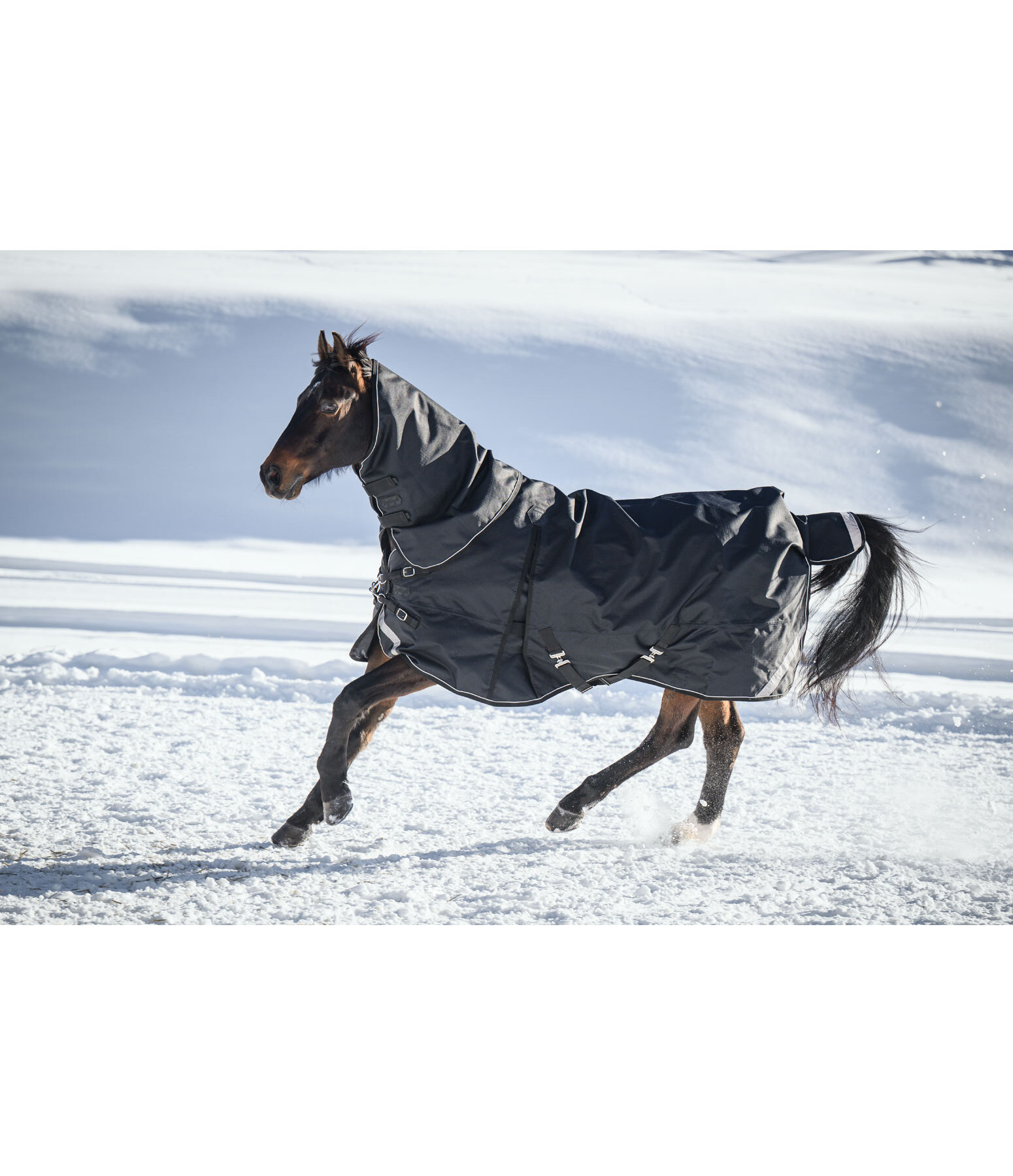 Regular Neck Turnout Rug Liberty II with Liner System, 0g