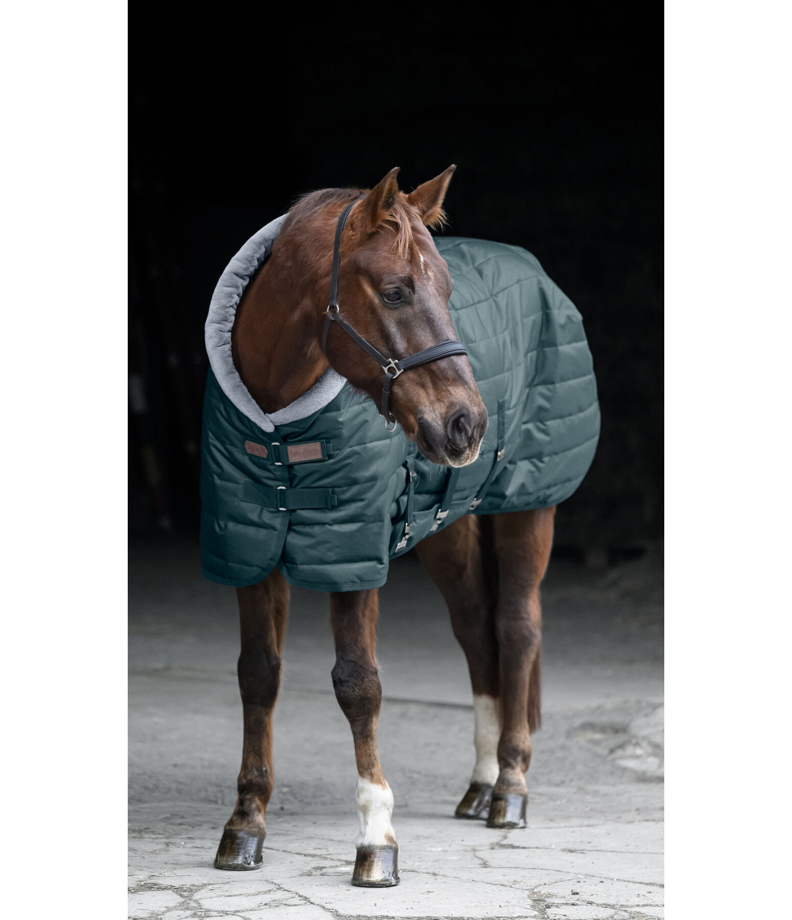 Stable Rug Stay Cozy