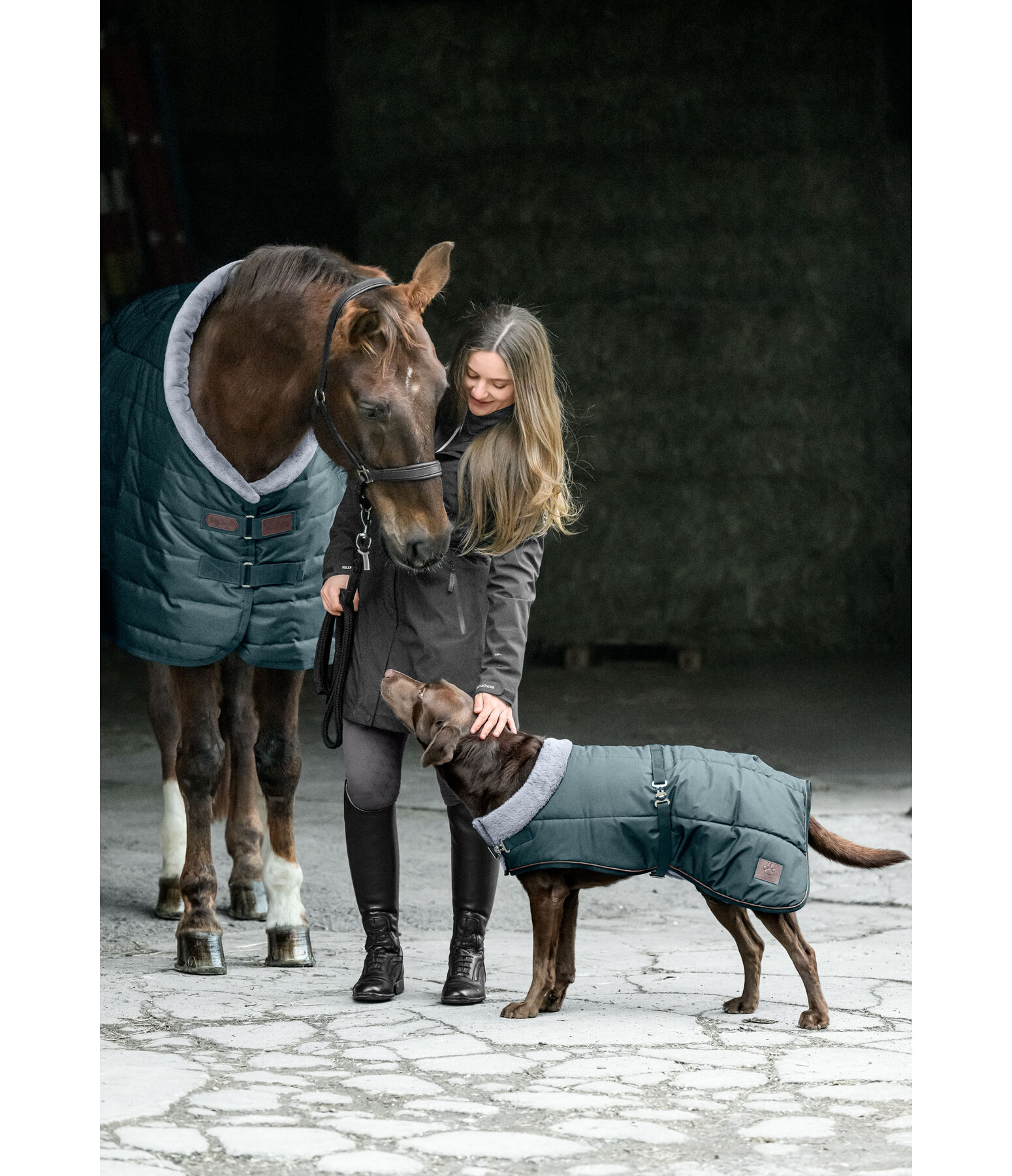 Stable Rug Stay Cozy