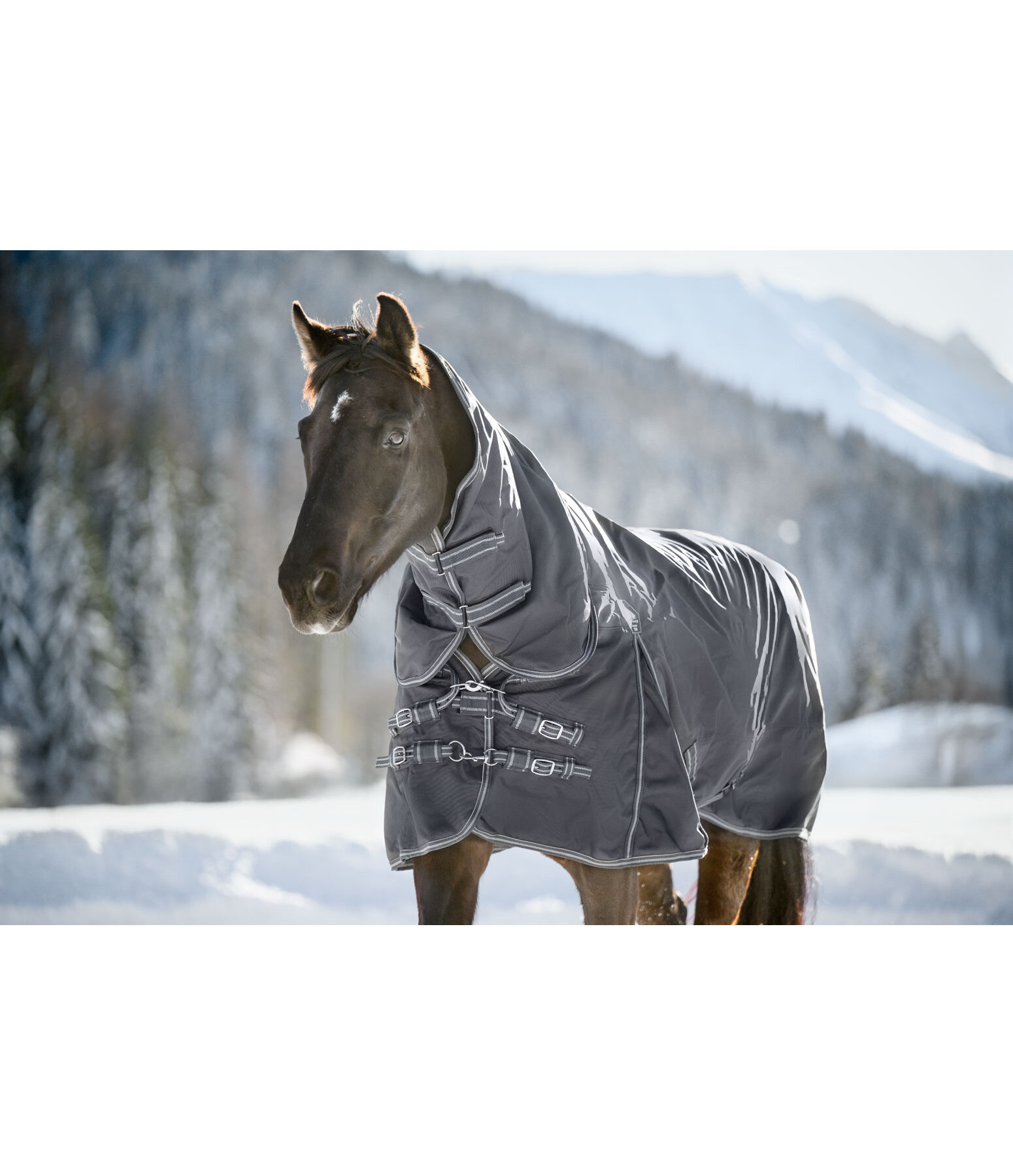 Full Neck Turnout Rug Perfect Fit Nylon PRO, 50g