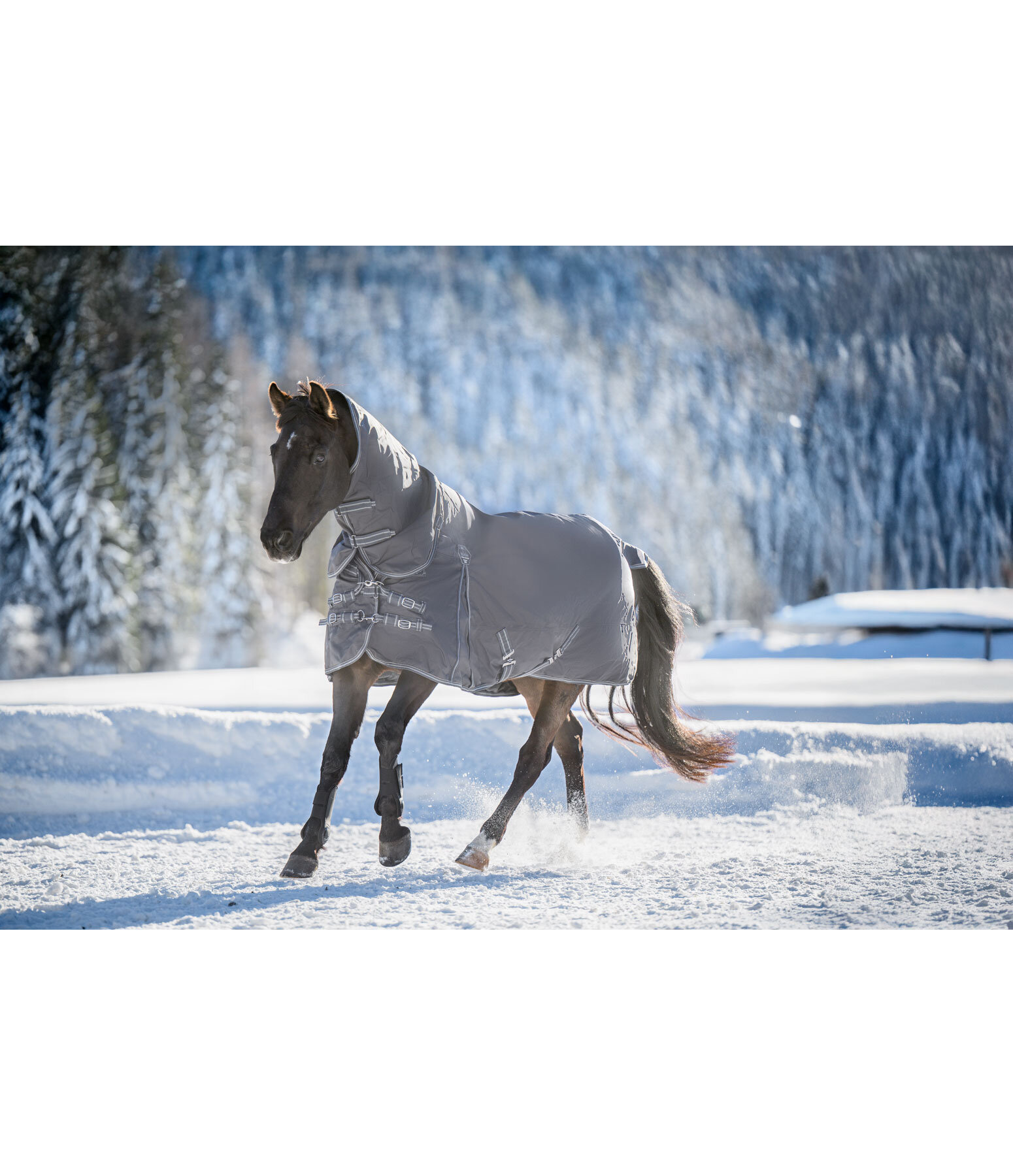 Full Neck Turnout Rug Perfect Fit Nylon PRO, 50g