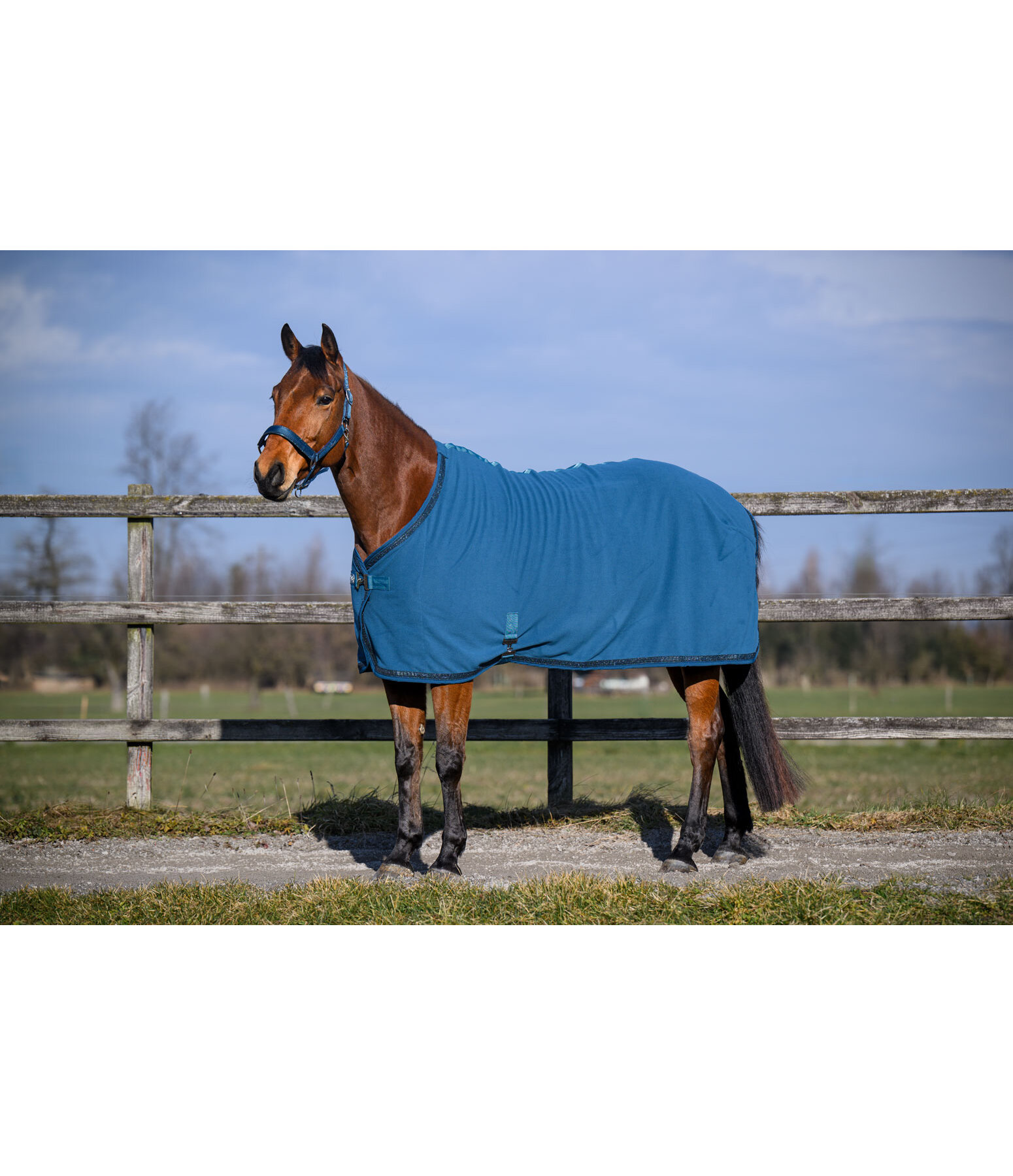 Collection Wicking Rug Glitter