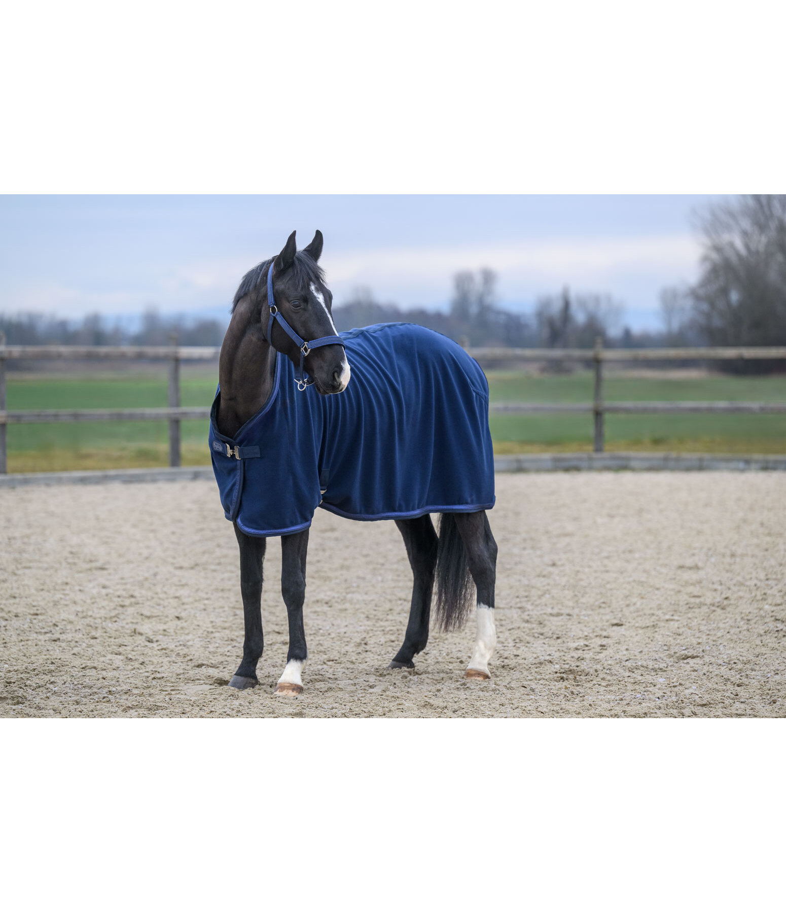 Collection Wicking Rug Glitter