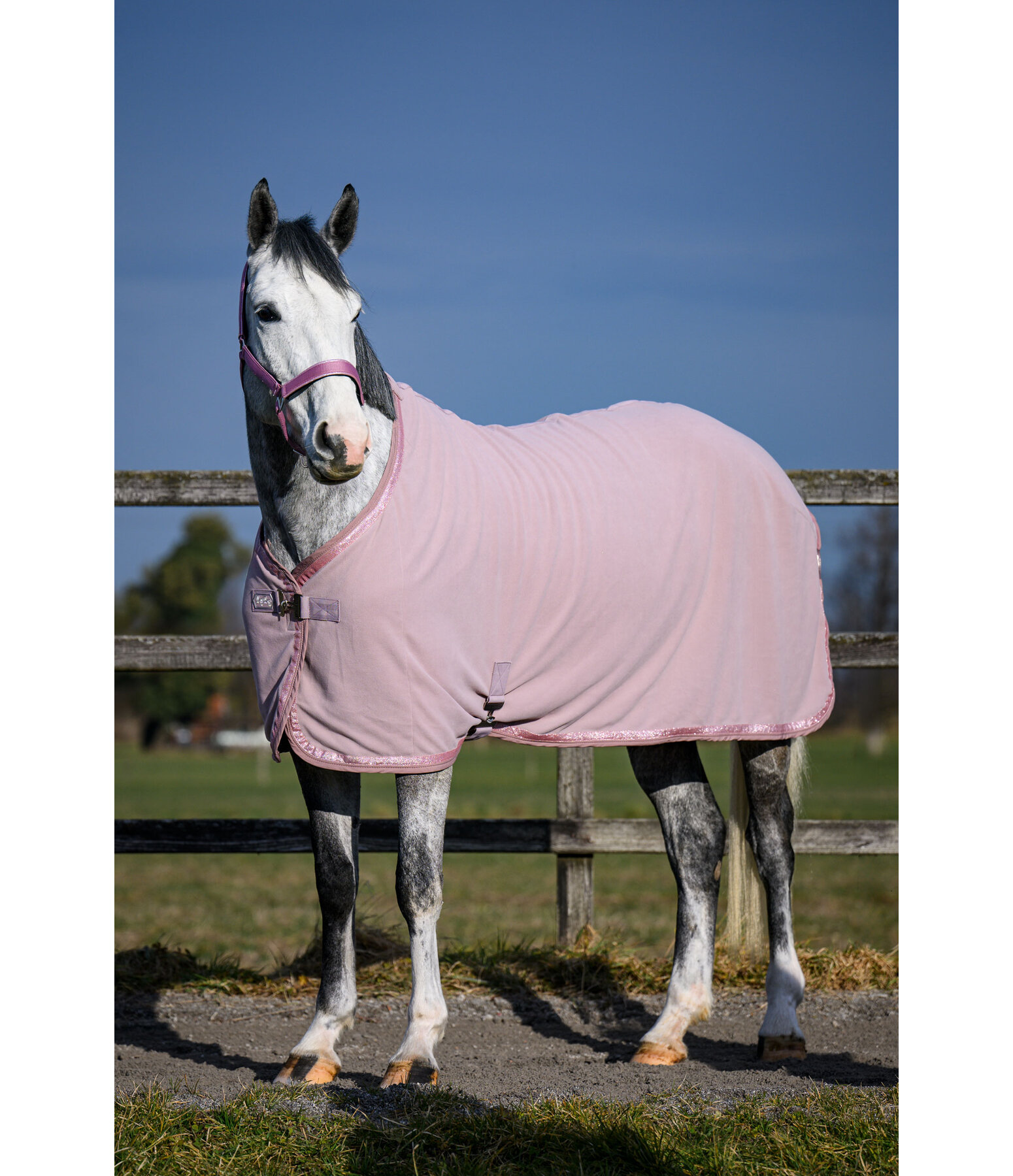 Collection Wicking Rug Glitter