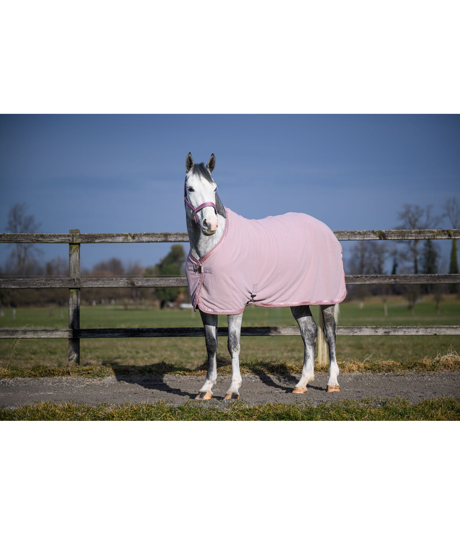 Collection Wicking Rug Glitter