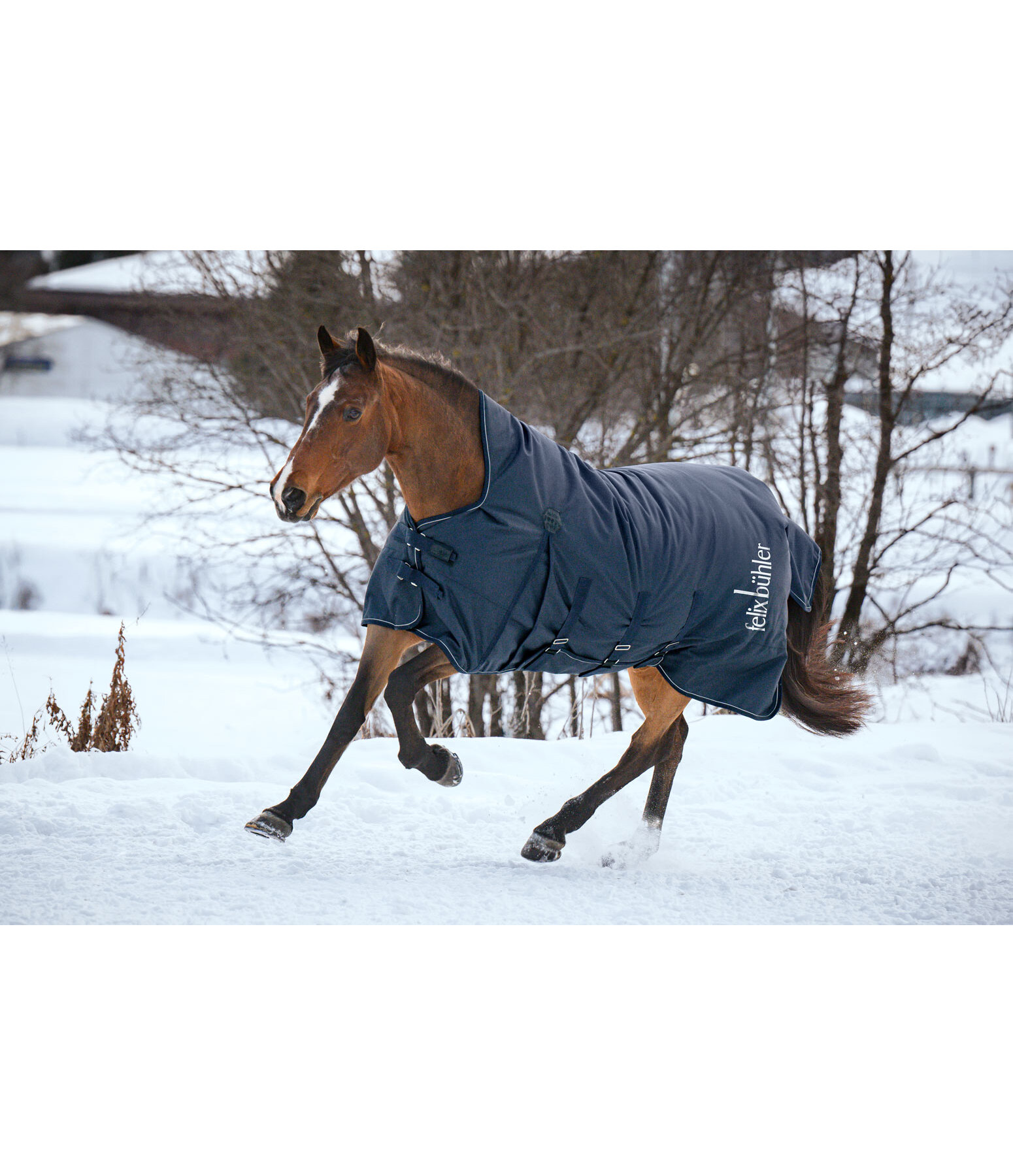 High Neck Turnout Rug Rain Shield II with Belly Flap, 50g