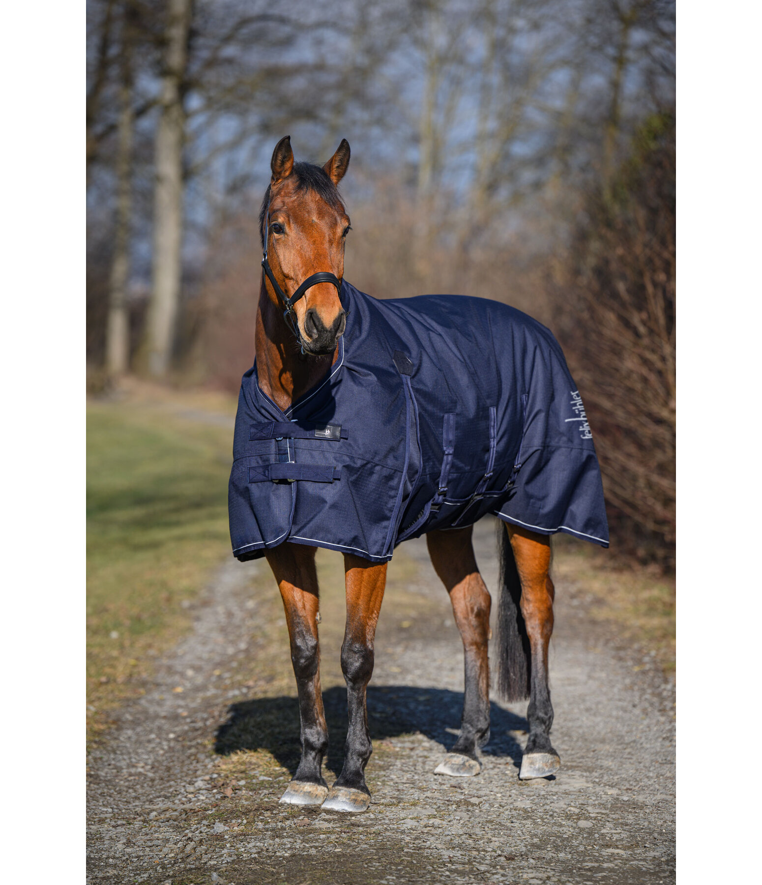 High Neck Turnout Rug Rain Shield II with Belly Flap, 50g