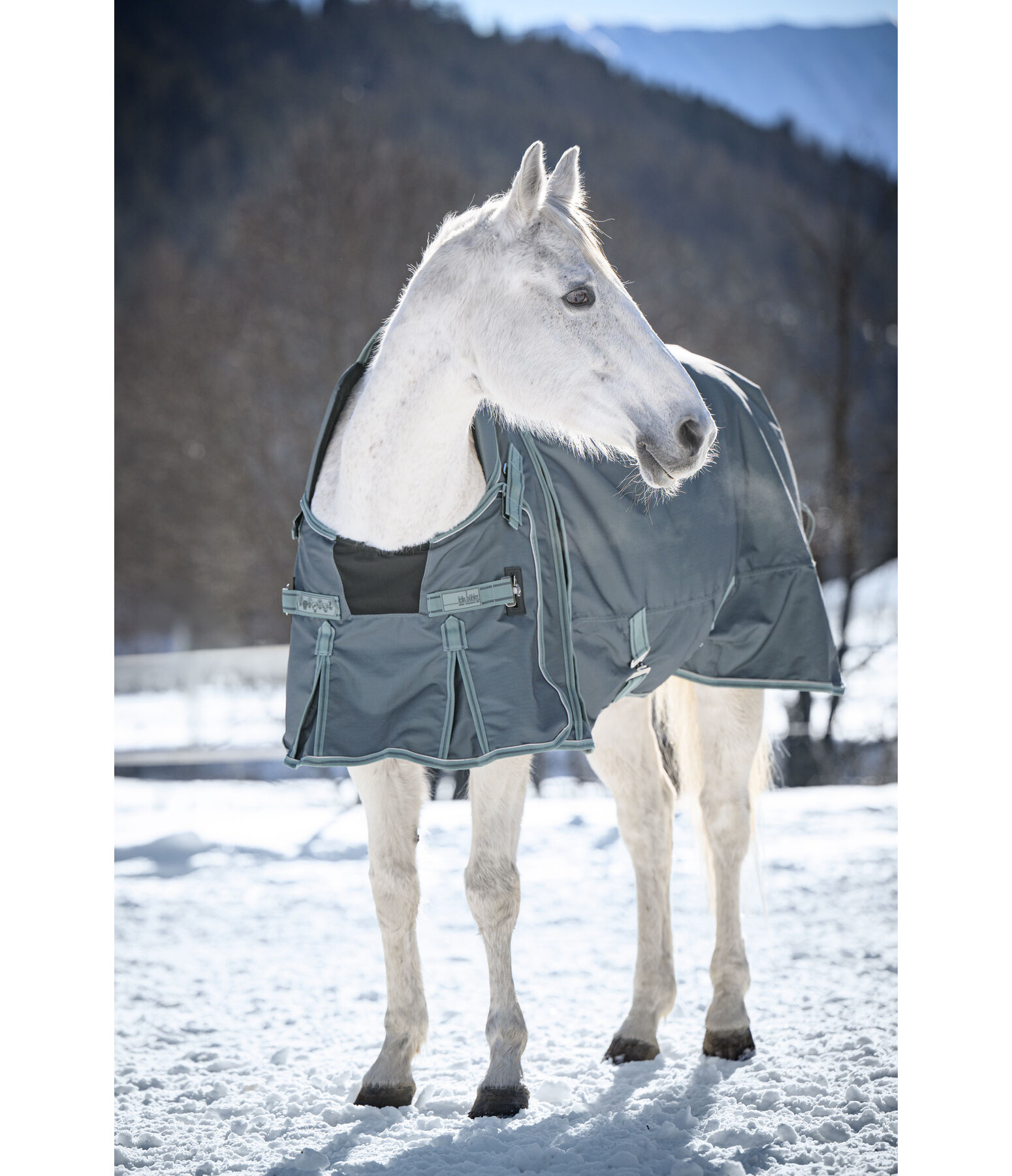 High Neck Turnout Rug Side Closure III, 50g