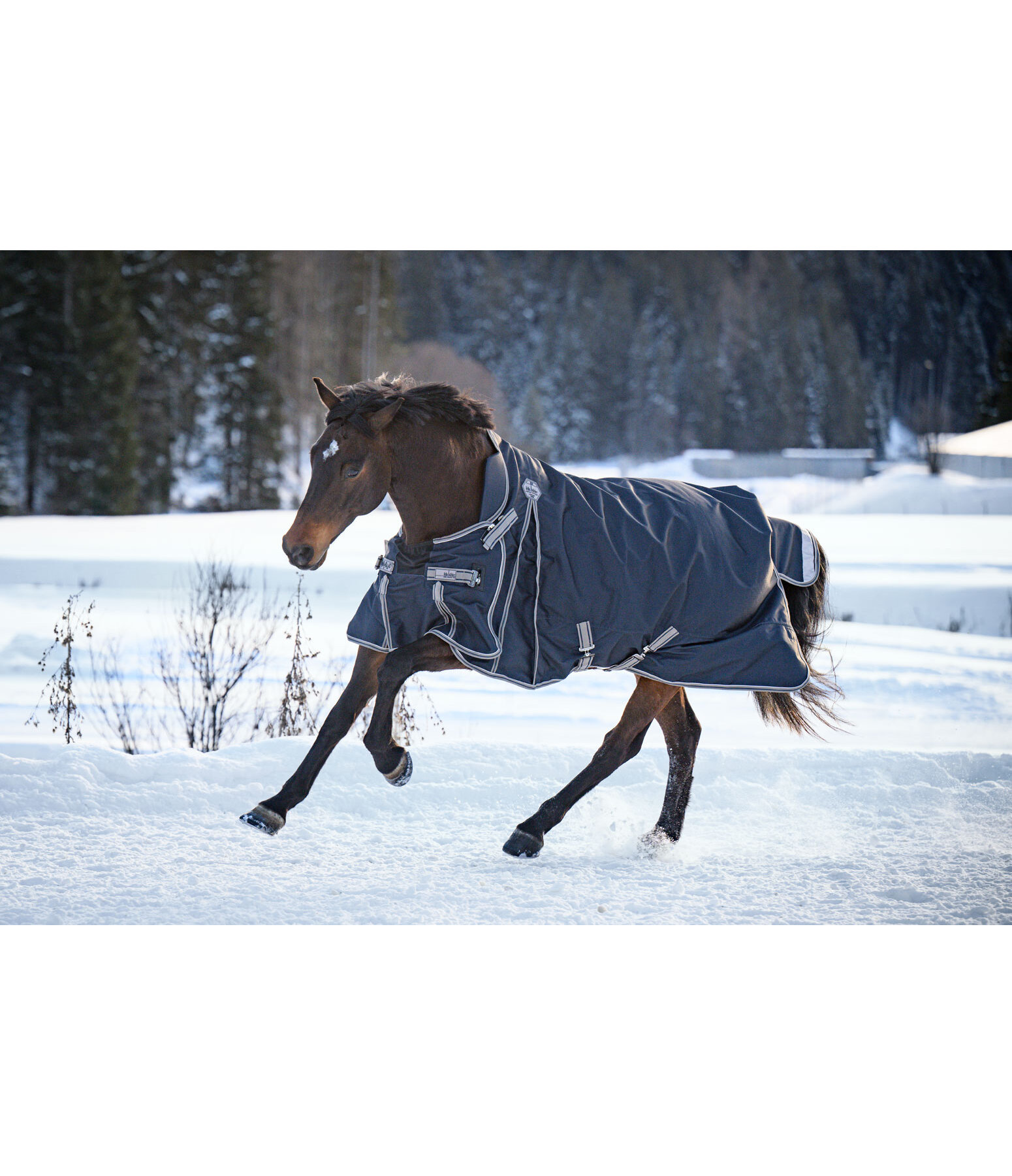 High Neck Turnout Rug Side Closure III, 50g
