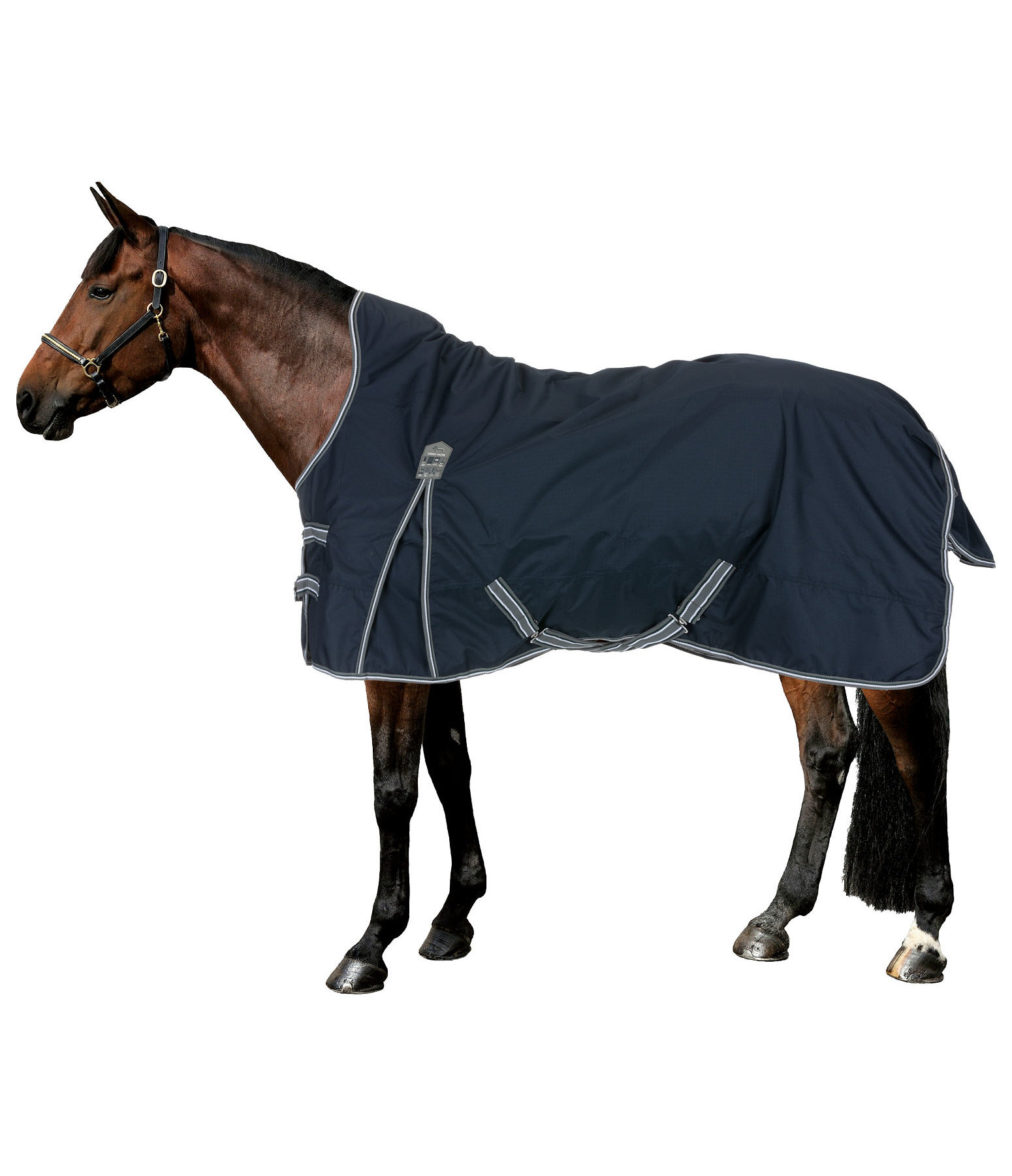 High Neck Turnout Rug Kalina II, 50g