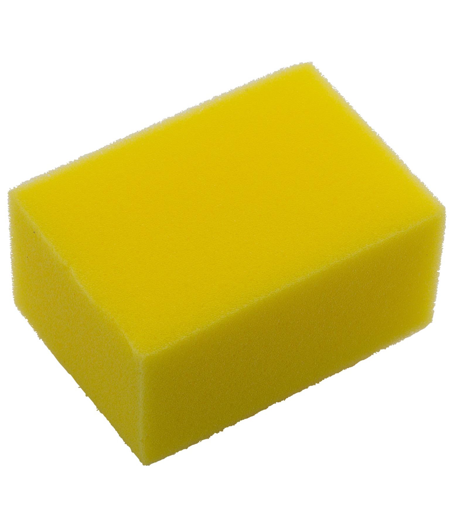 Sponge