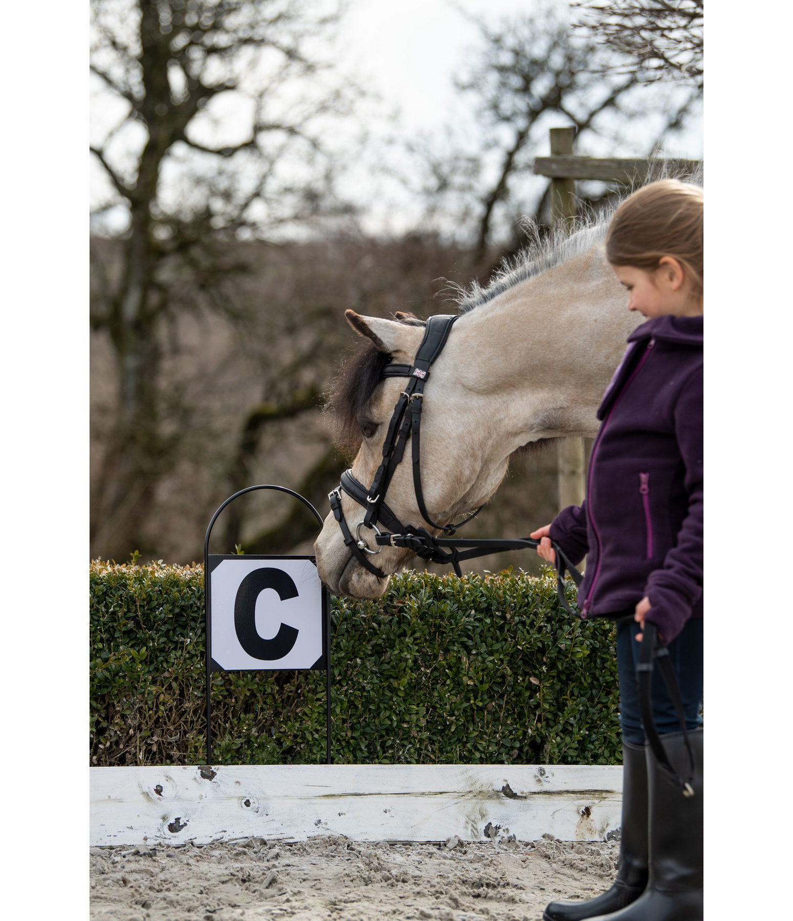 Dressage arena markers for sale