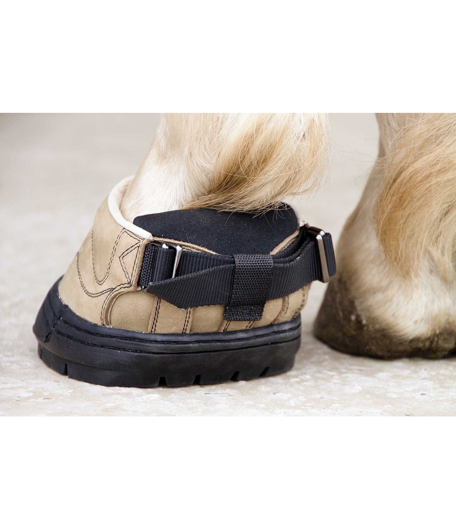 How Much Can You Make As A Hoof Trimmer? (2024 Data) - 2d5rn4m