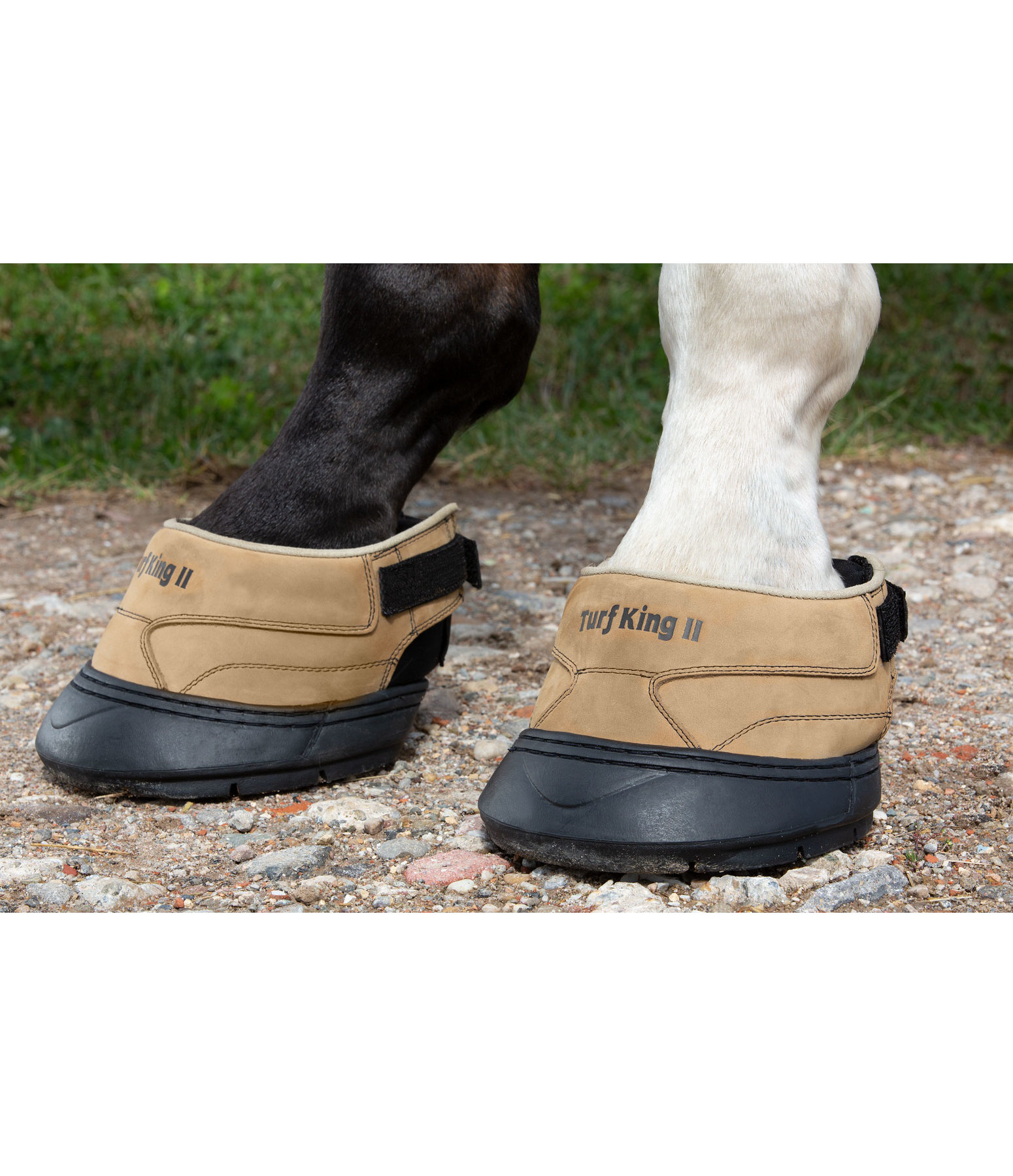 Turf king shop hoof boots