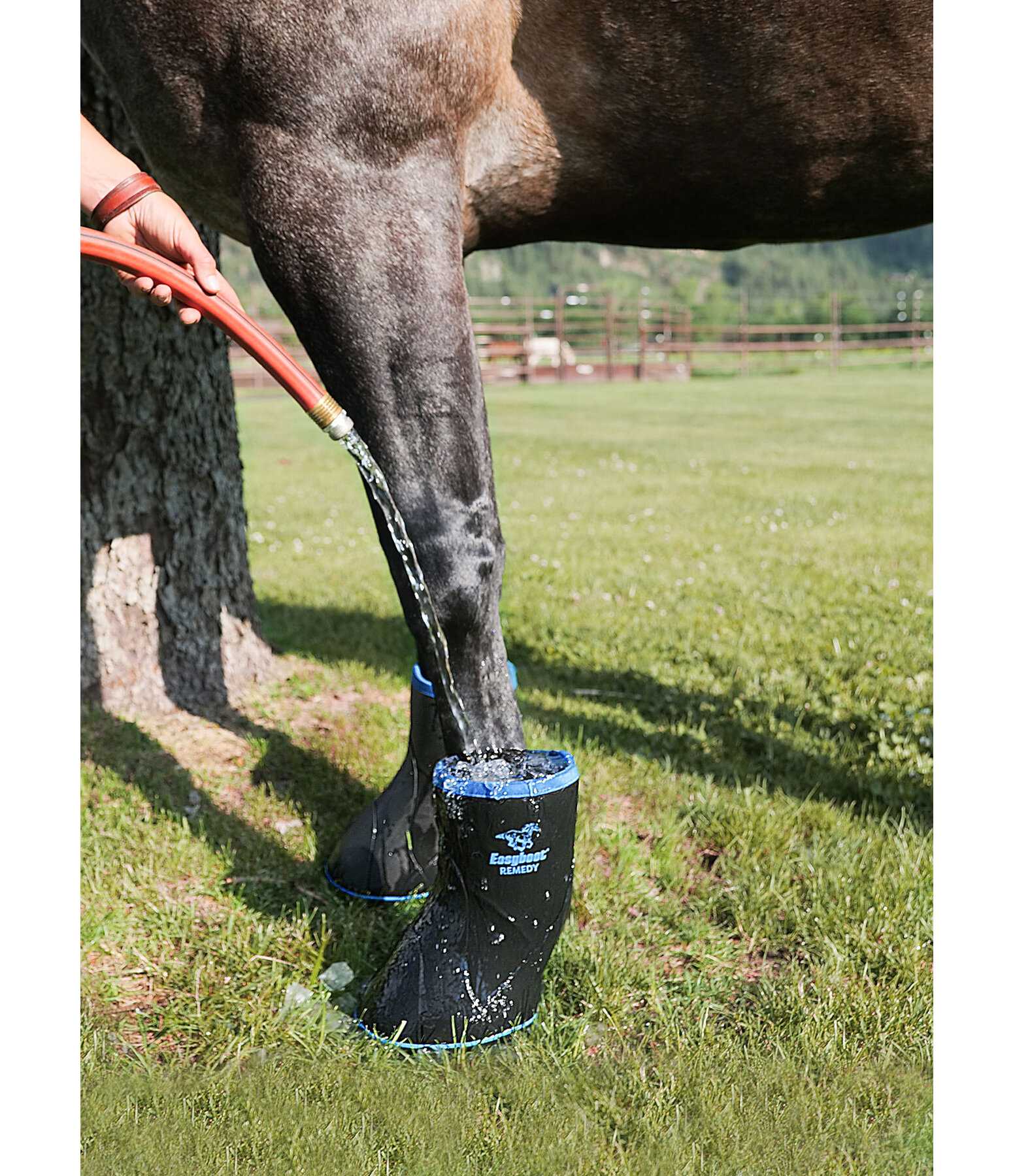 Easyboot Therapy Boot Remedy